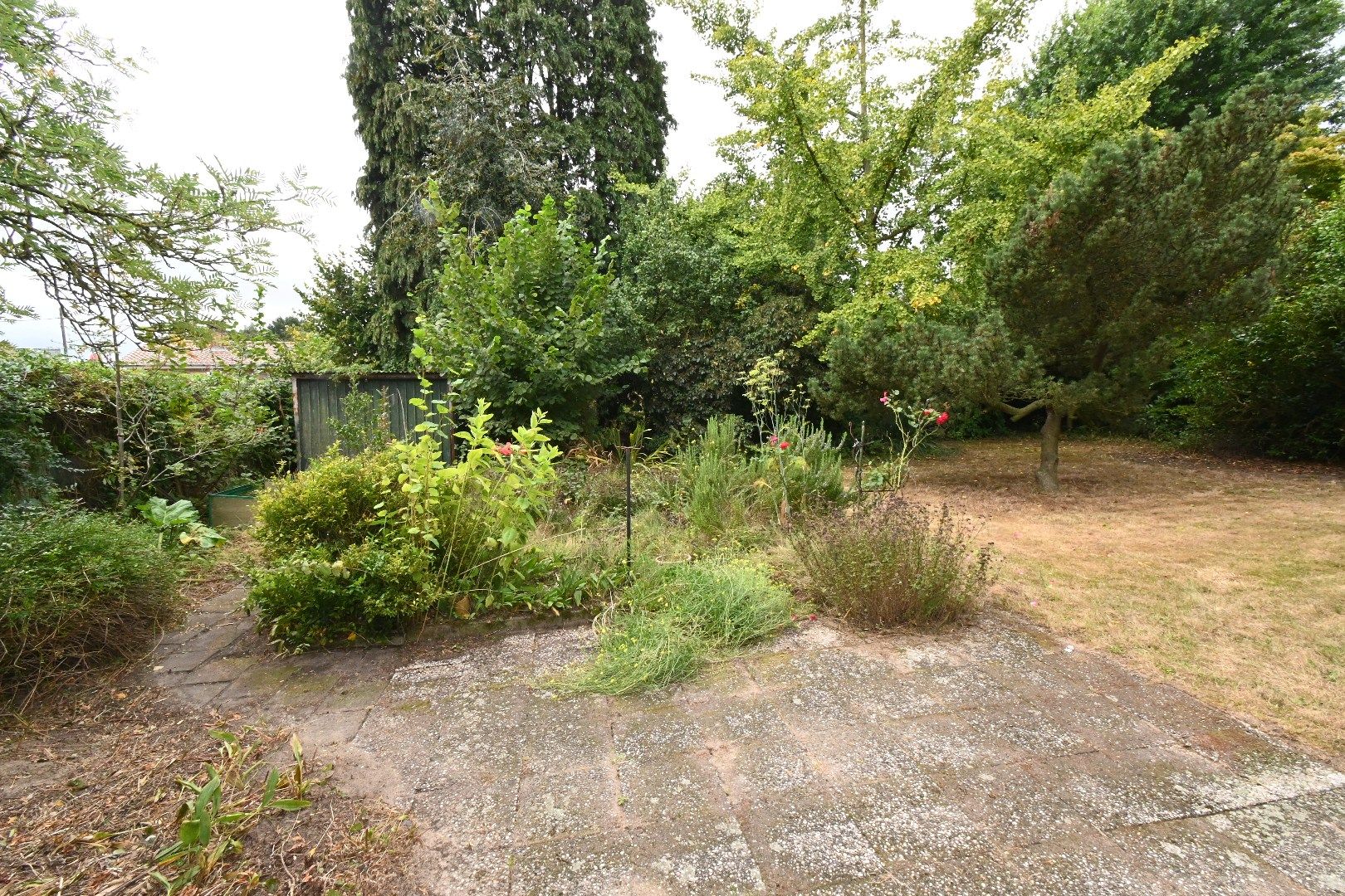 Alleenstaande woning met tuin gelegen rand centrum Maldegem foto 30