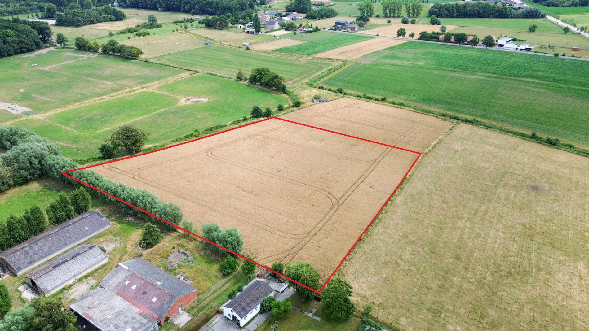 Te renoveren hoeve op unieke ligging in Torhout, vlak bij Groenhovebos foto 4