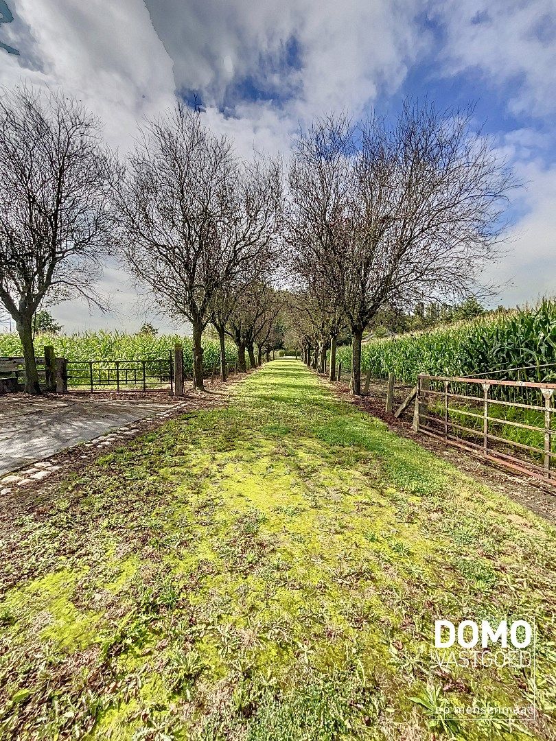 UNIEKE BOERDERIJ TE HERK-DE-STAD OP 2HA 60A 86CA TE KOOP foto 27