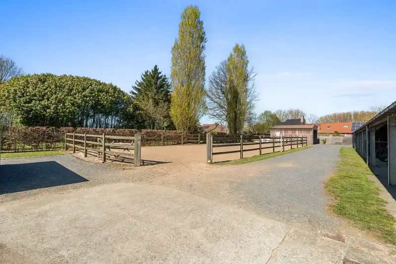 Moderne villa met hippisch complex op 15.856m²  foto 40