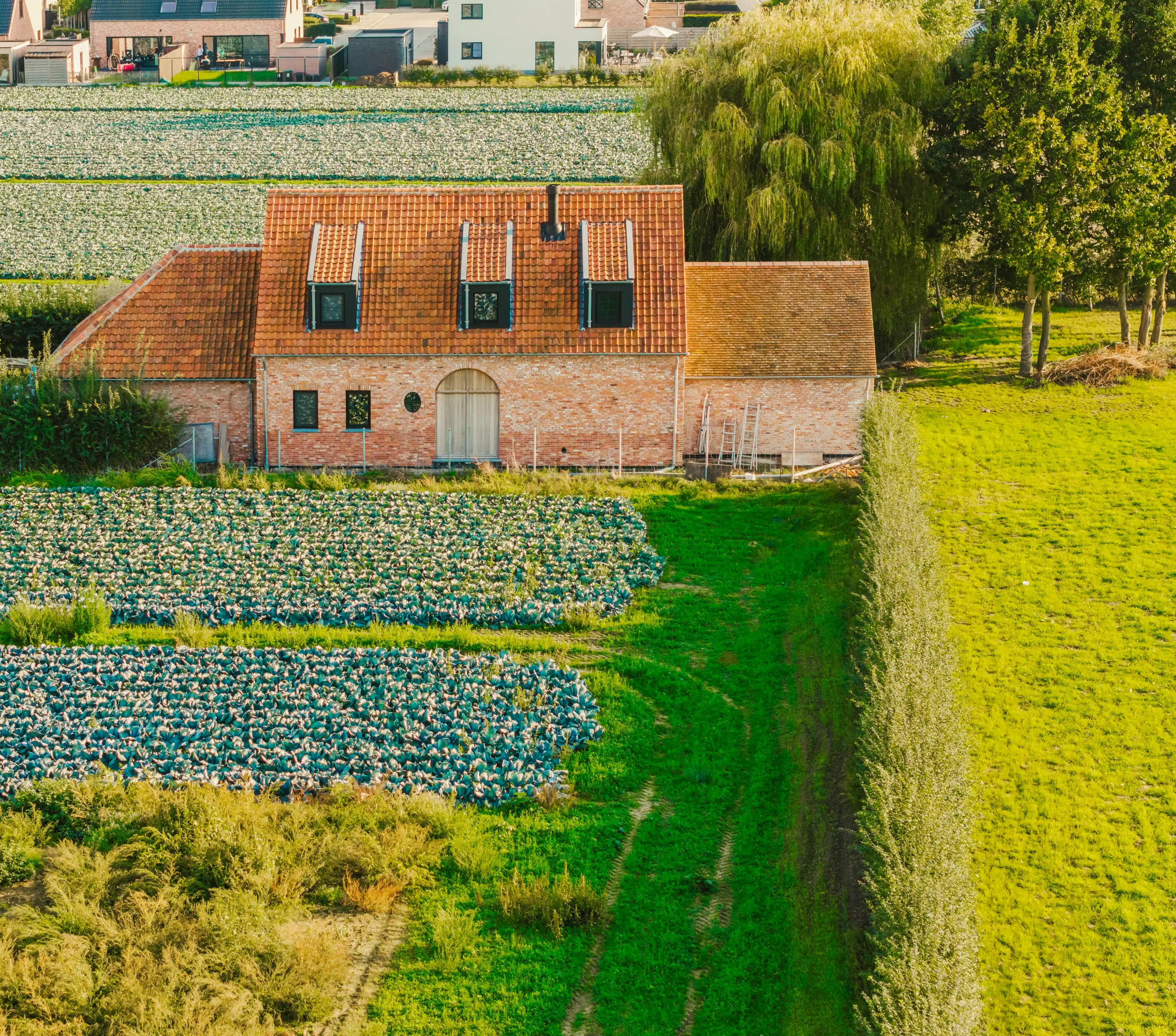 Uitzonderlijke villa met idyllisch landelijk zicht op 3320m² foto 19