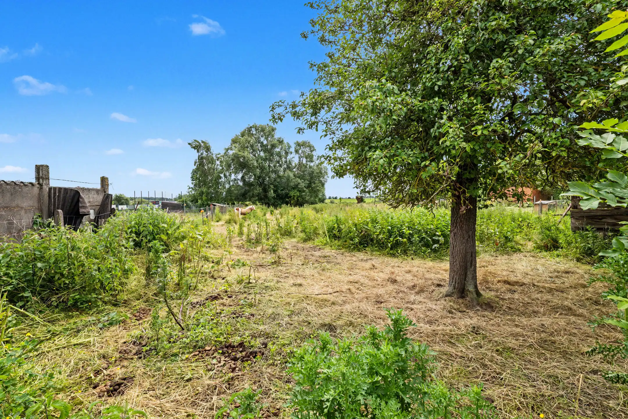 Charmante herenwoning met authentieke elementen, grote tuin en weide op 17a 70ca foto 32