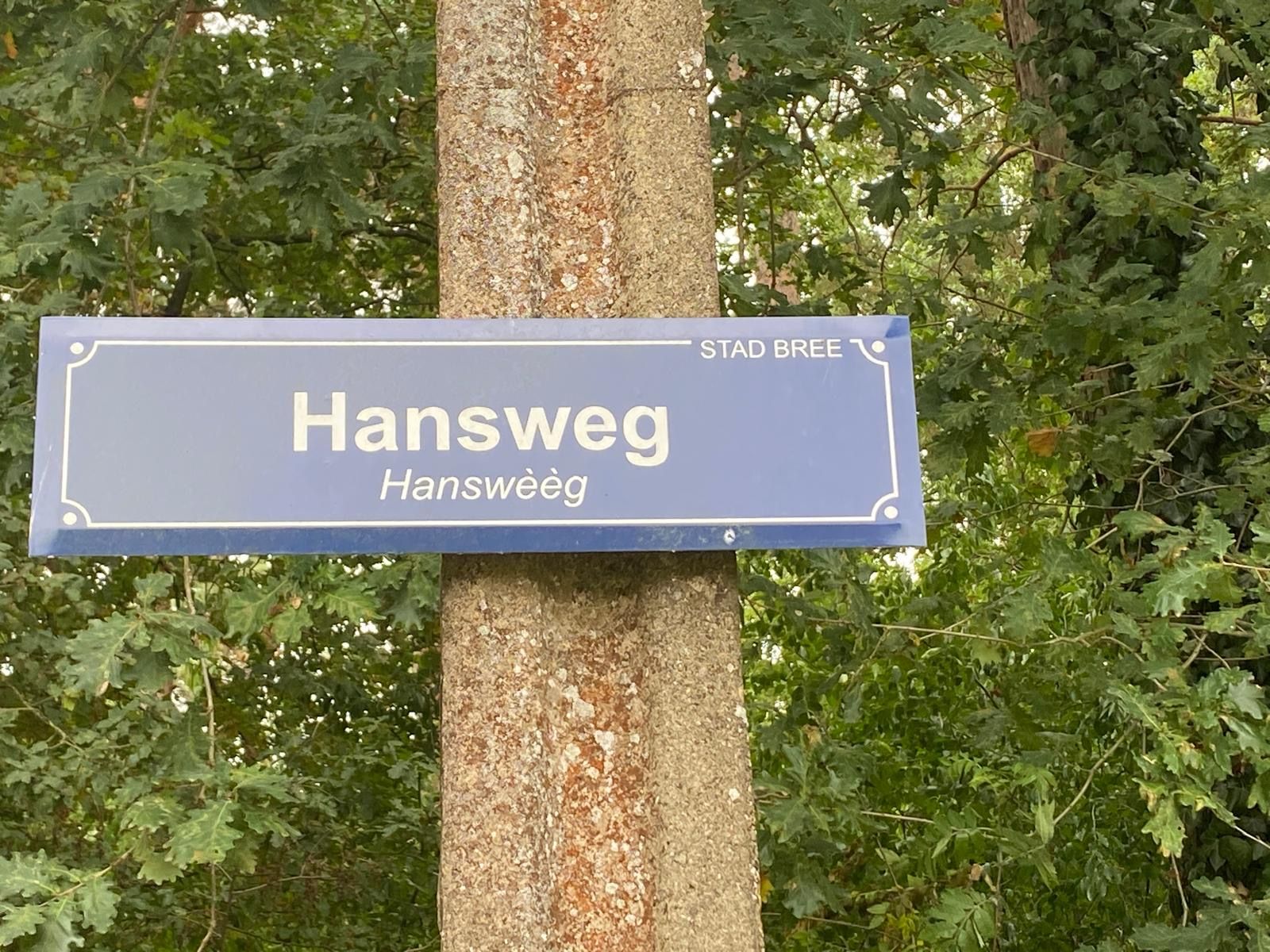 TE KOOP: 2 percelen bouwgrond voor halfopen bebouwing in Bree (Gerdingen) foto 3