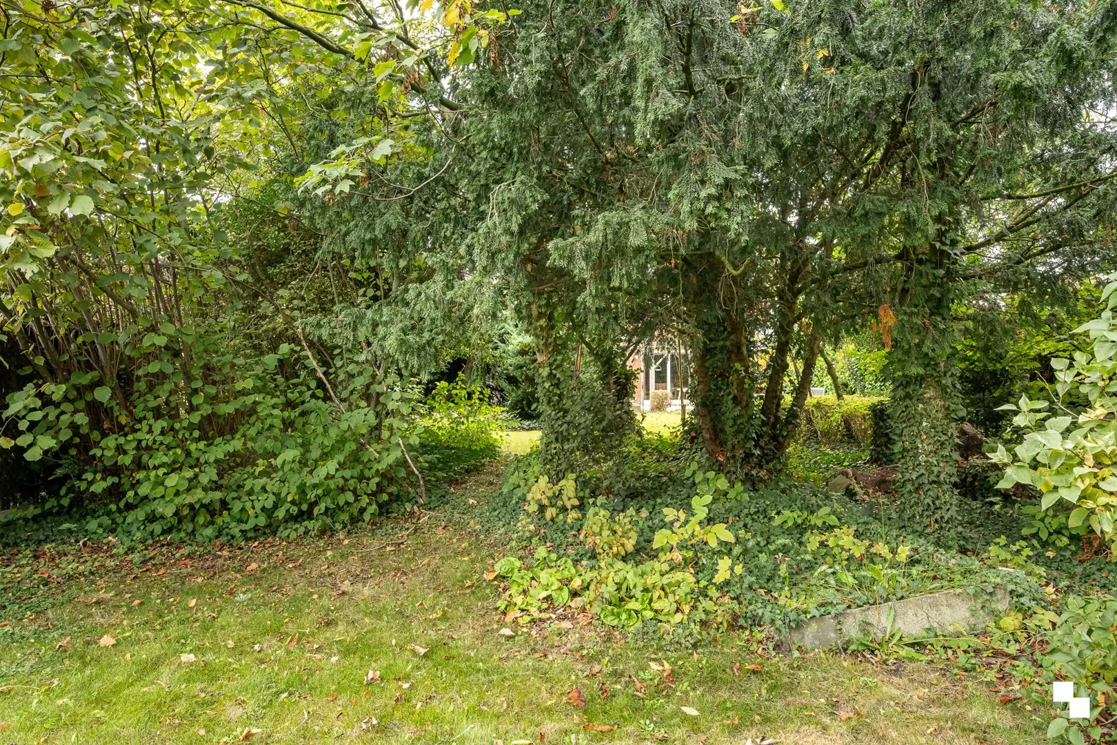 Ruime halfopen bebouwing op een prachtig perceel nabij Wallemote-Wolvenhof foto 30