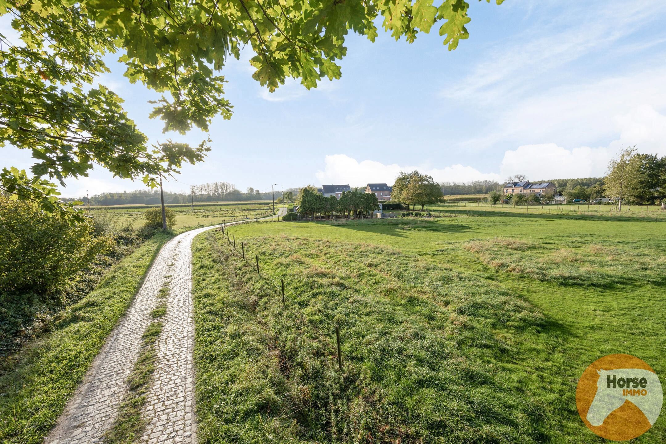 VELTEM-BEISEM - Woning met weilanden en eigen bos op 3ha32 foto 21