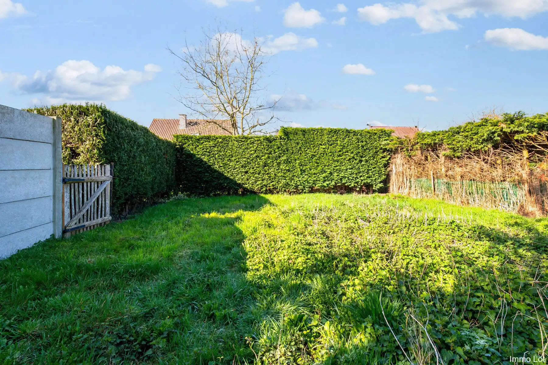 Volledig vernieuwde starterswoning  foto 12