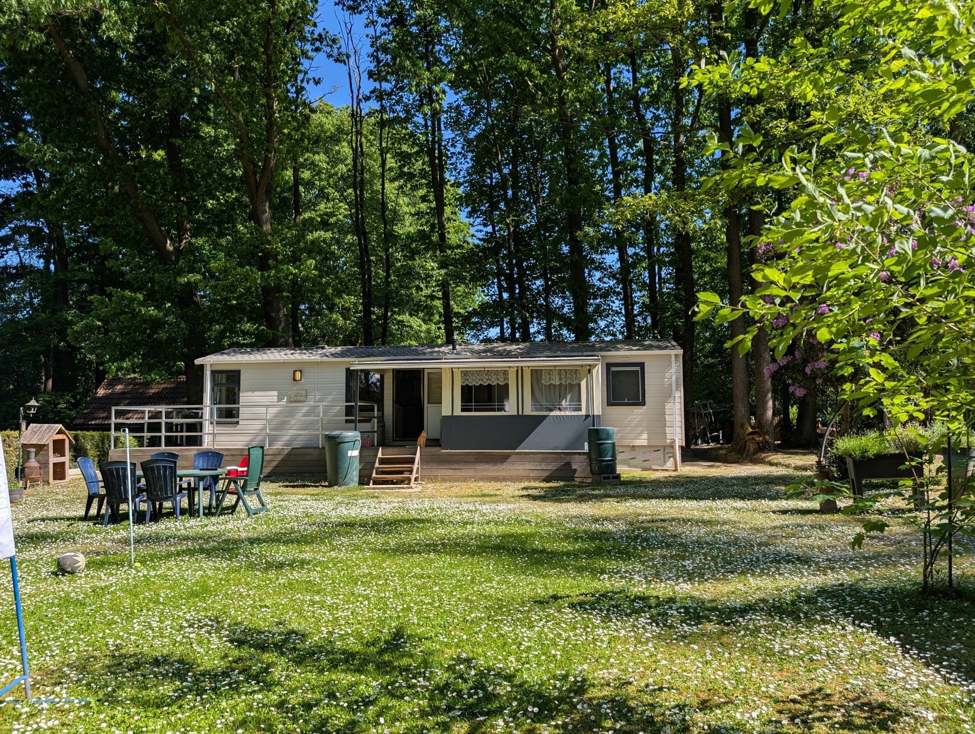 Hoofdfoto van de publicatie: gezellige vaste caravan te midden van de natuur