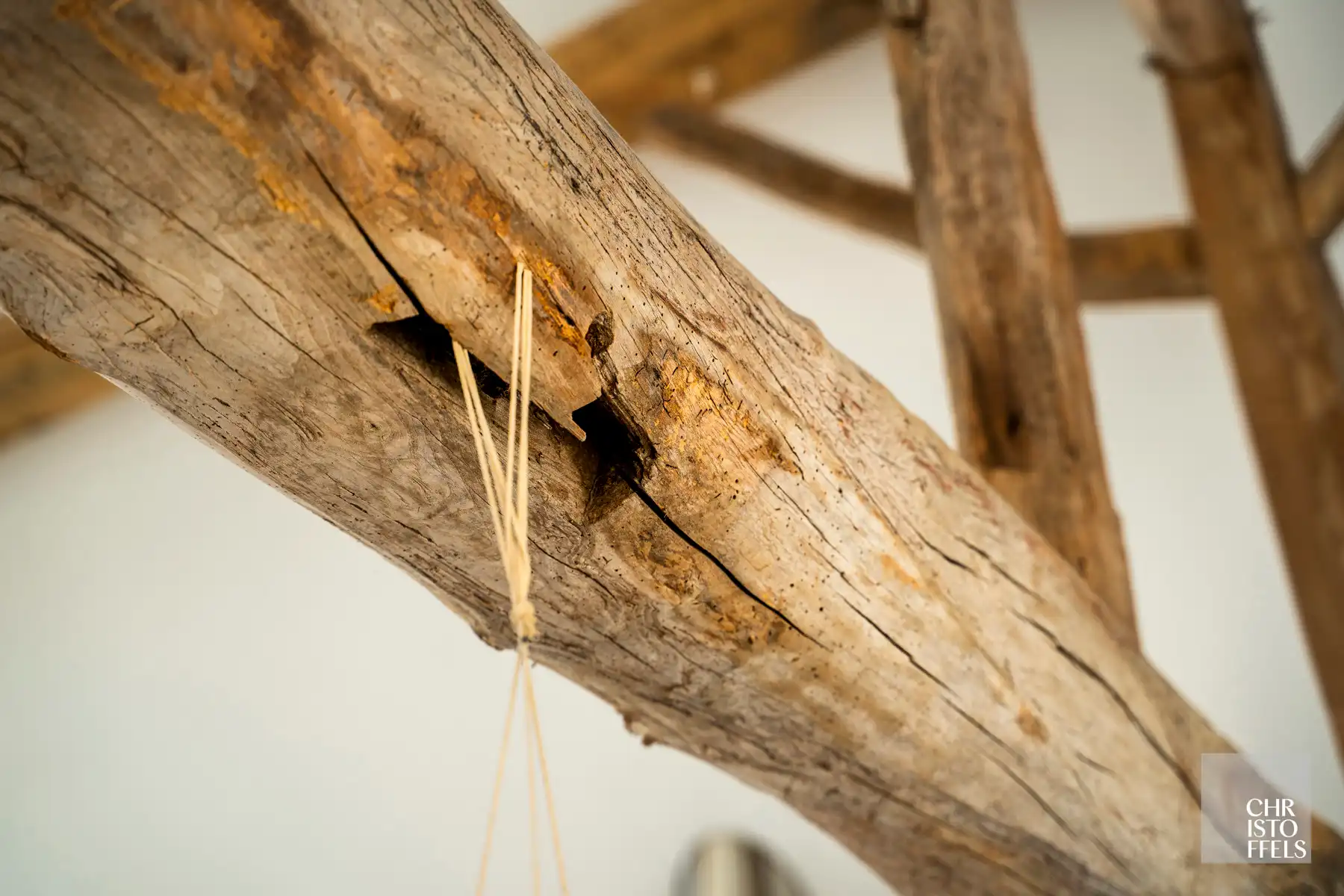 Exclusieve vierkantshoeve met buitenzwembad en vrij uitzicht op perceel van 3.213m² foto 4