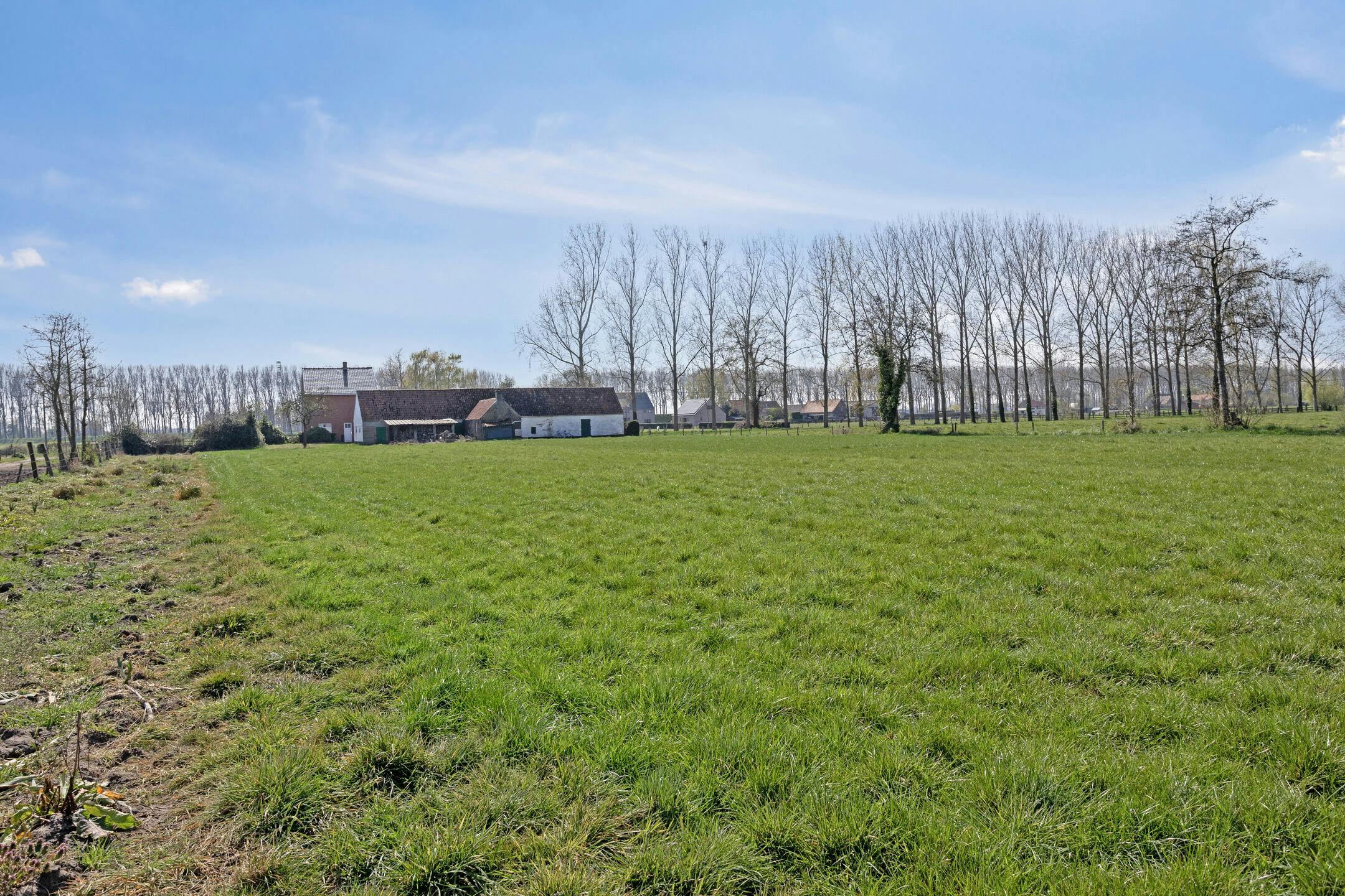 Idyllisch gelegen hoeve te Maldegem foto 7