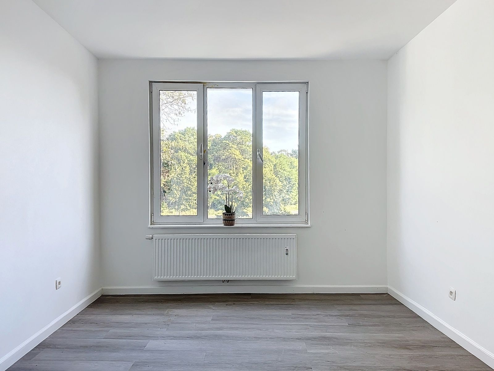 Gerenoveerd startersappartement in centrum Mortsel foto 12