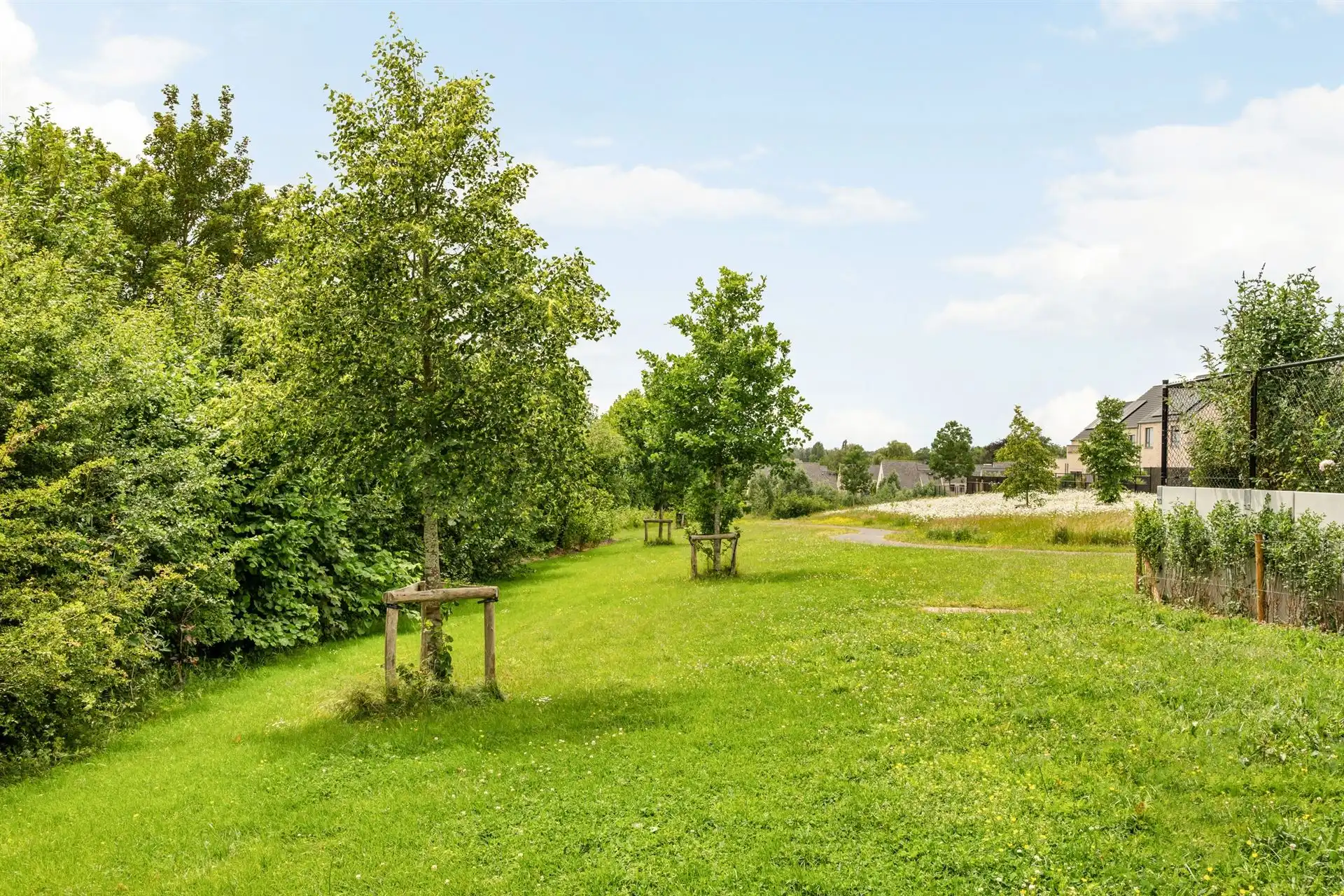 Topgelegen grote woning met 4 slk, omheinde tuin en garage. foto 5