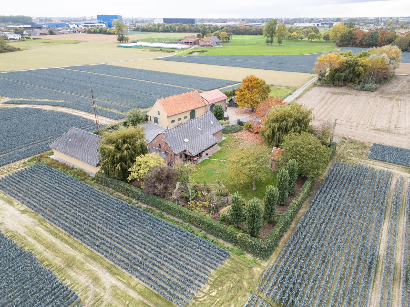 Landhuis met 2 magazijnen, rustig gelegen op 5.388 m² foto 2
