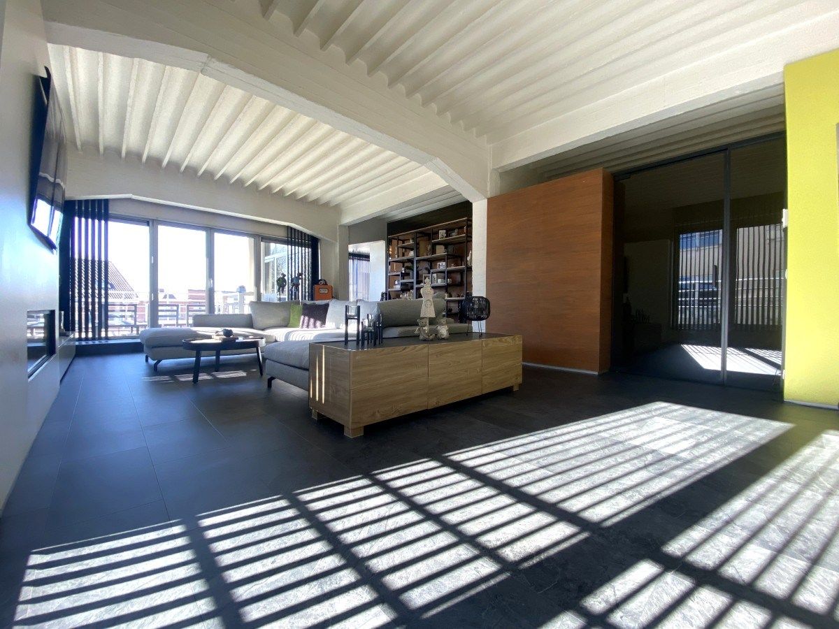 Instapklare loft met terras foto 4