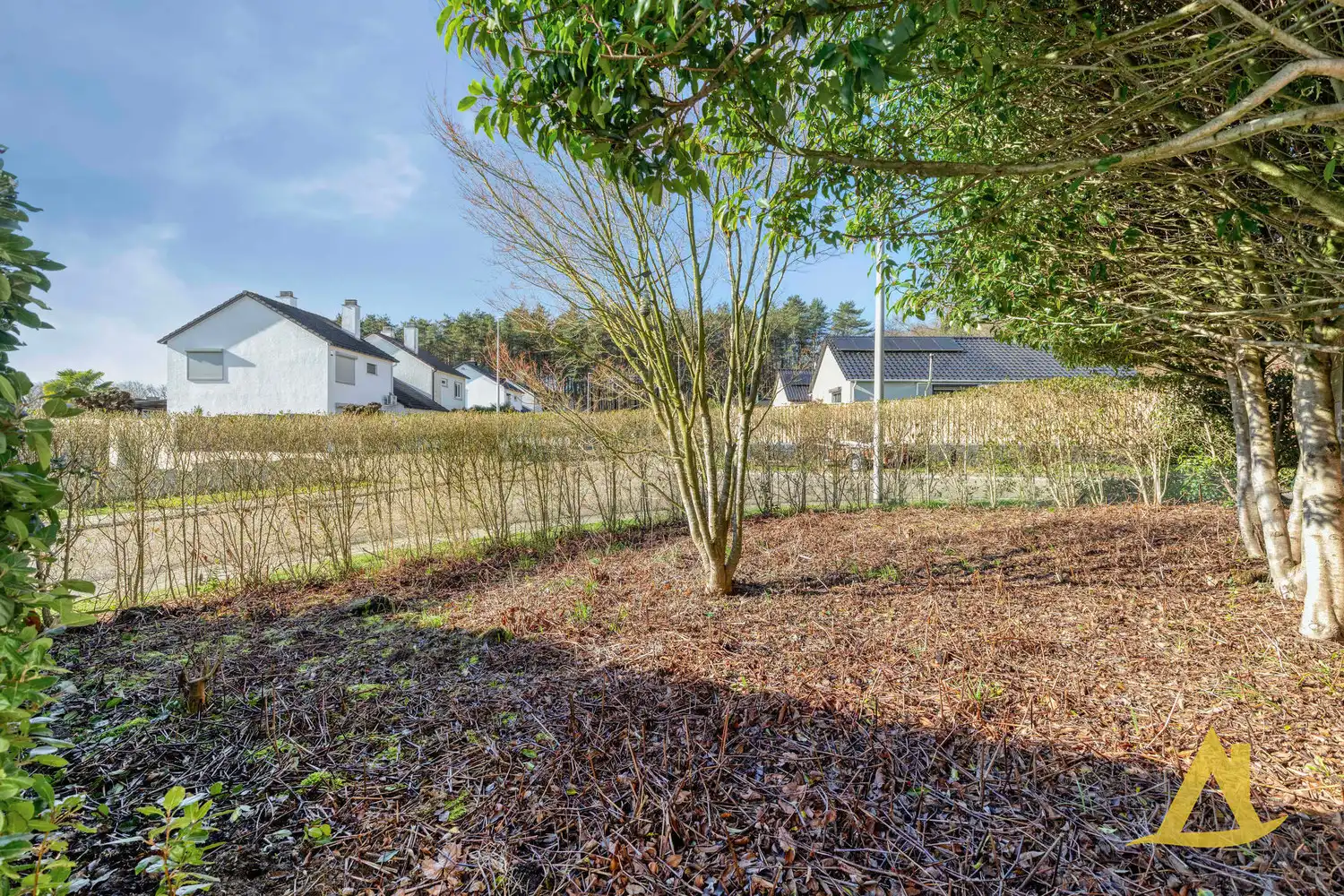 ZEER RUSTIG GELEGEN, INSTAPKLARE HOB, TE LUMMEN! foto 3