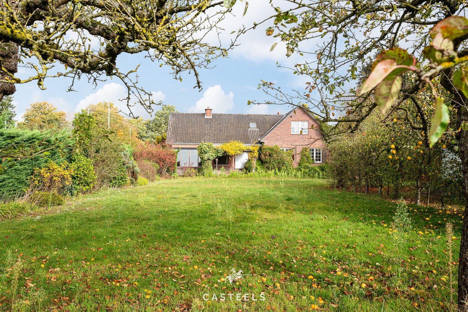 Te renoveren woning op perceel van 5.643m² in Kruisem te koop foto 5