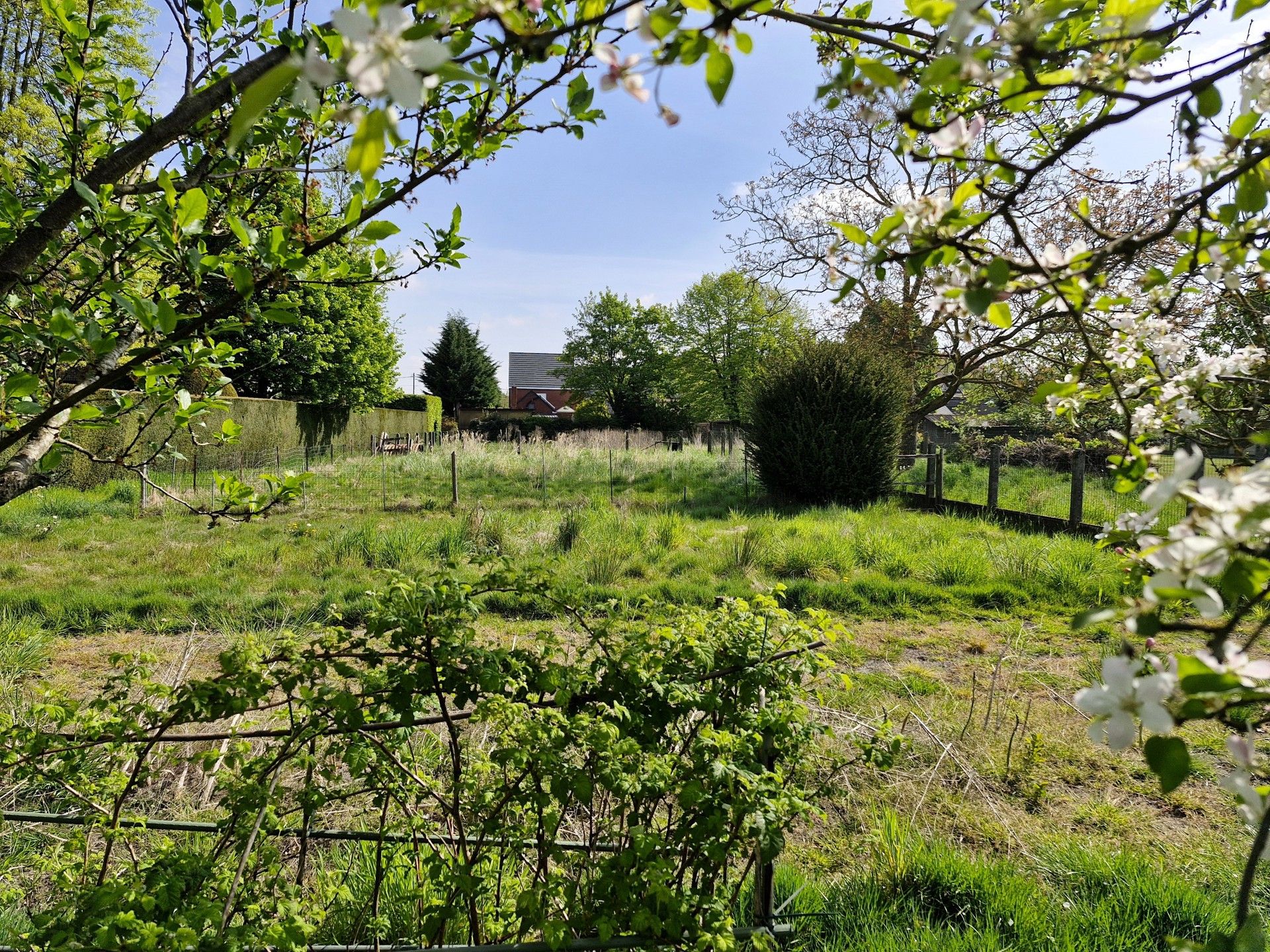 Huis te koop foto 19
