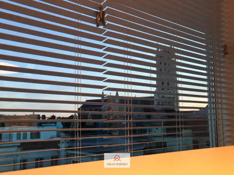 Zalige exclusieve penthouse met zuidgericht terras en uniek zicht op de torens! foto 12