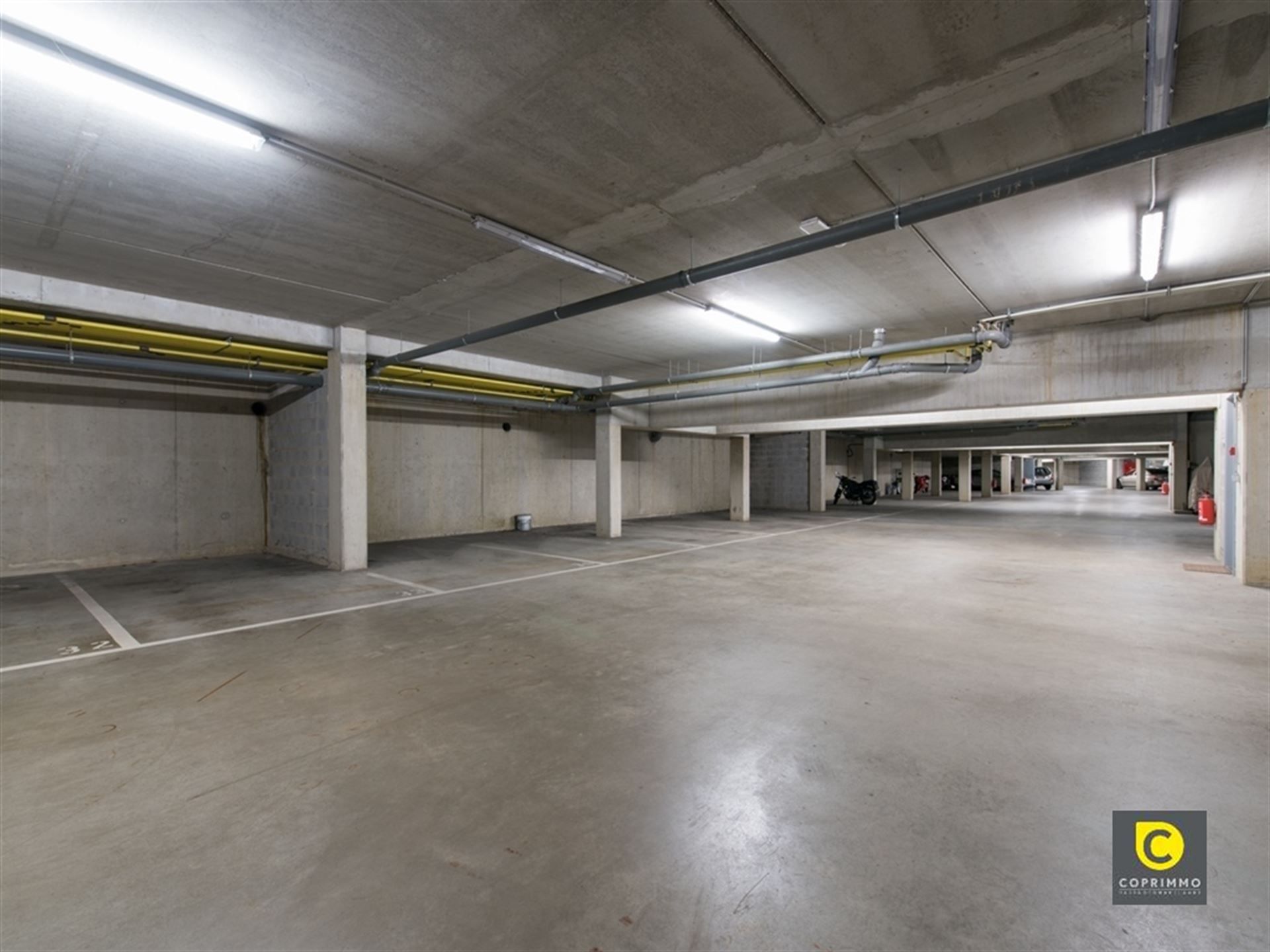 Twee achterliggend P foto {{pictureIndex}}