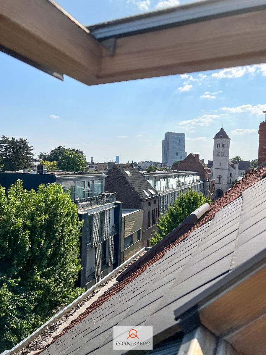 Appartement te huur vlakbij Gent-Sint-Pietersstation foto 18