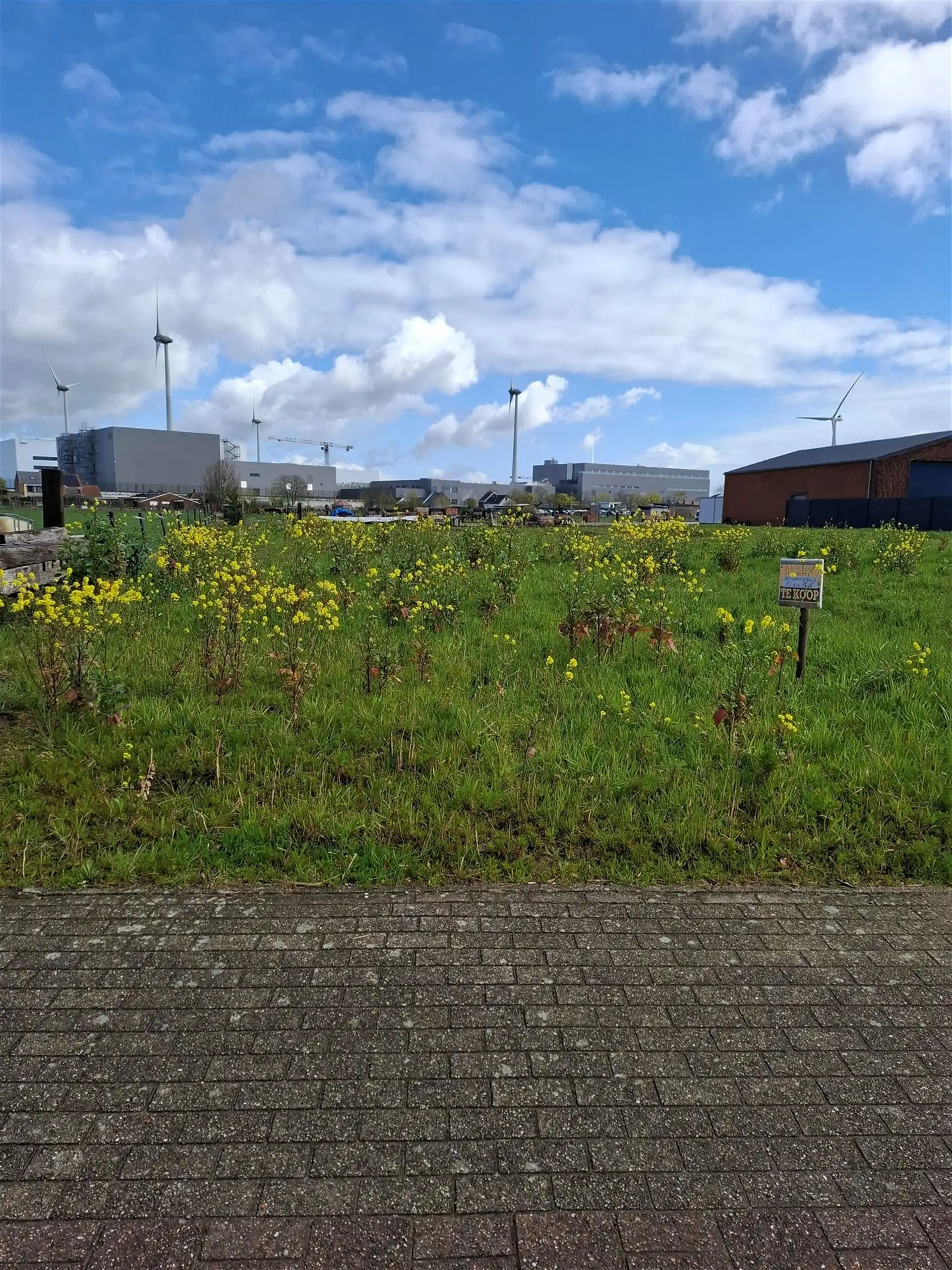 Landelijk gelegen bouwgrond voor open bebouwning! foto 4