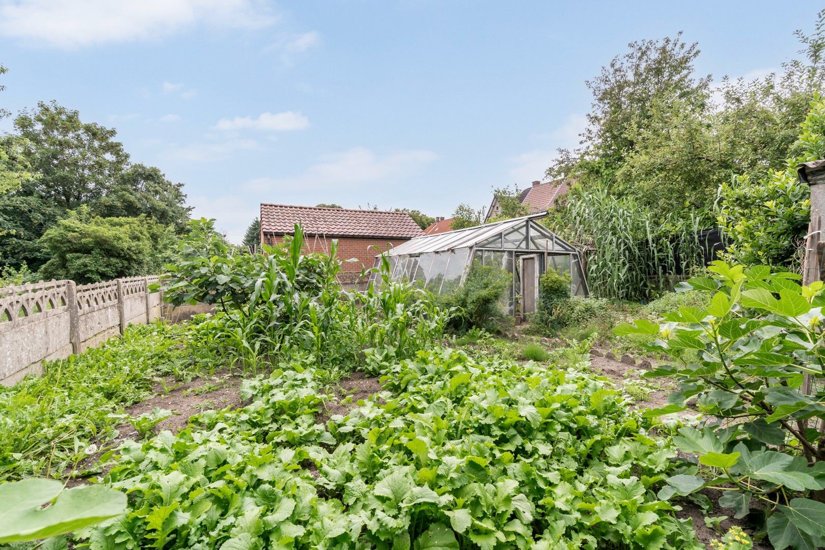 Te renoveren woning in Waterschei foto 9