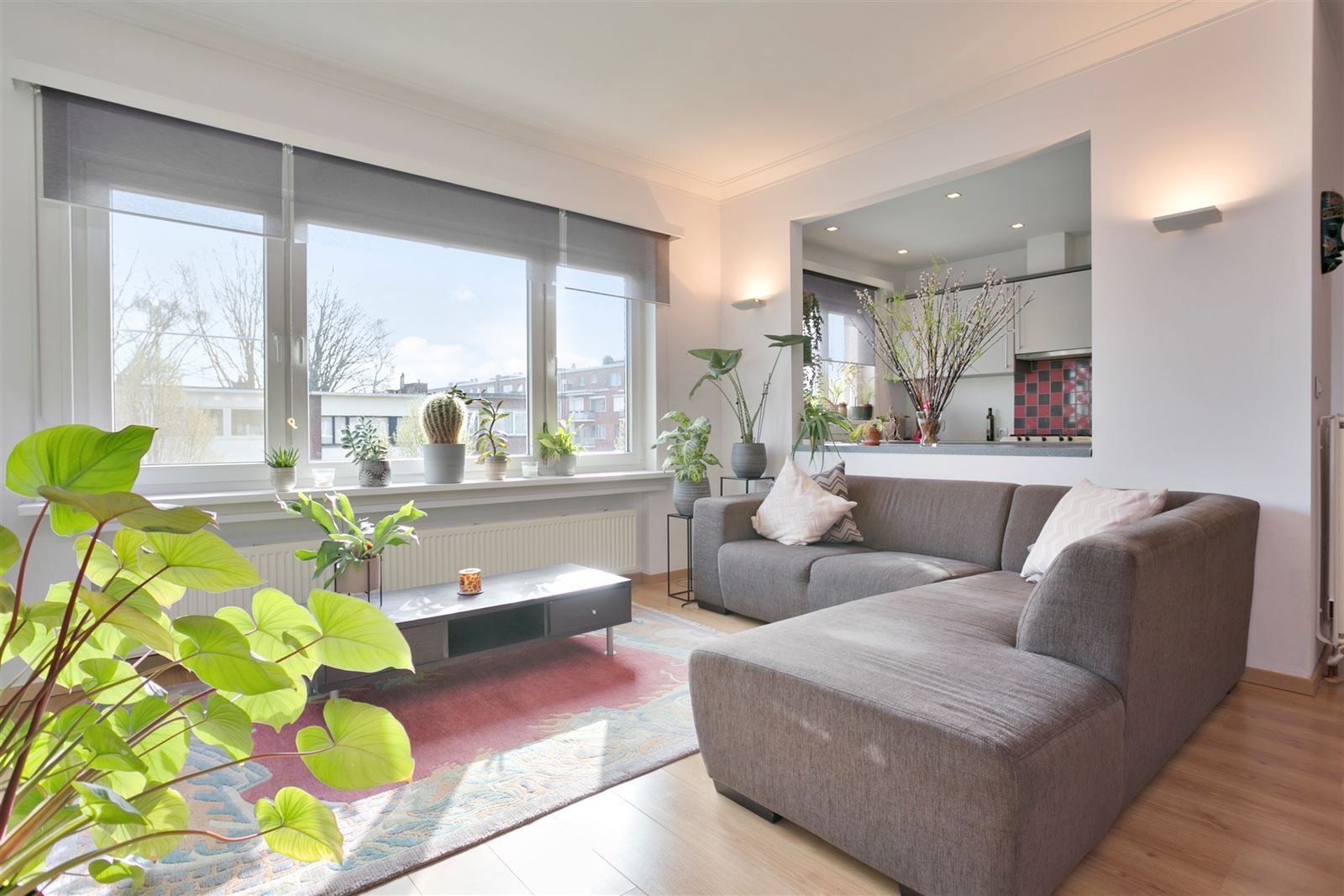 Hoboken:gezellig, gemeubeld 2 slaapkamer appartement  foto 5