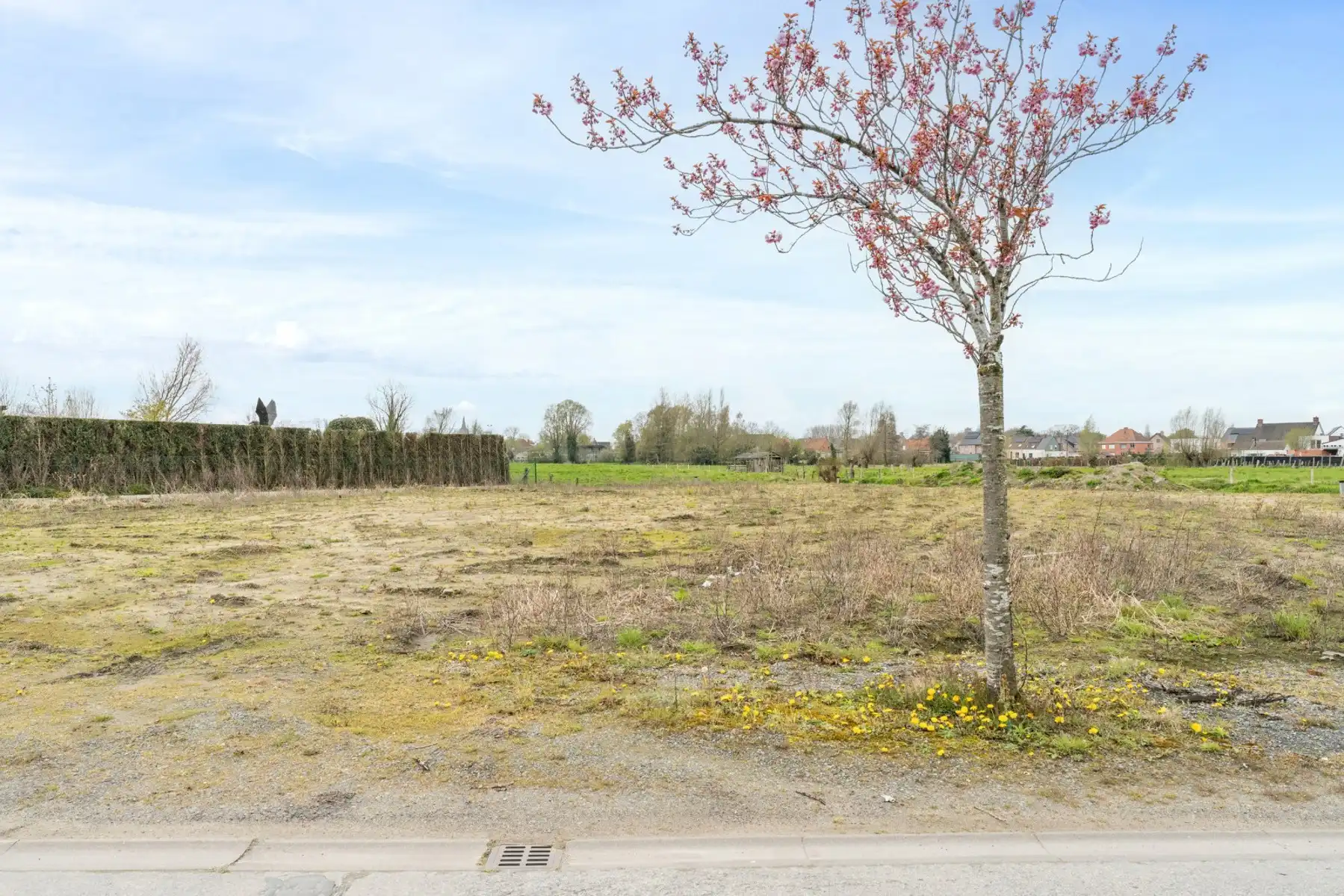 Huis te koop foto 12