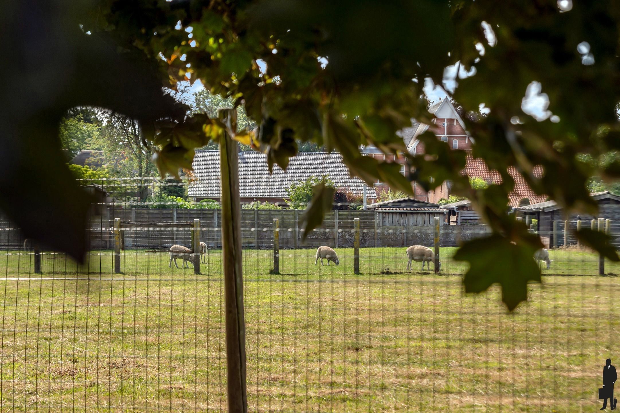 Uitstekende villa met 4 slpk. op ca. 2.000m² in Weelde foto 28