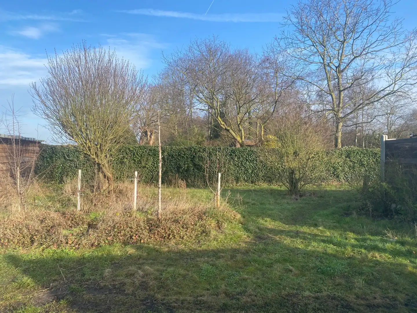 Centraal gelegen te renoveren woning met ruime garage en achterliggende tuin foto 14