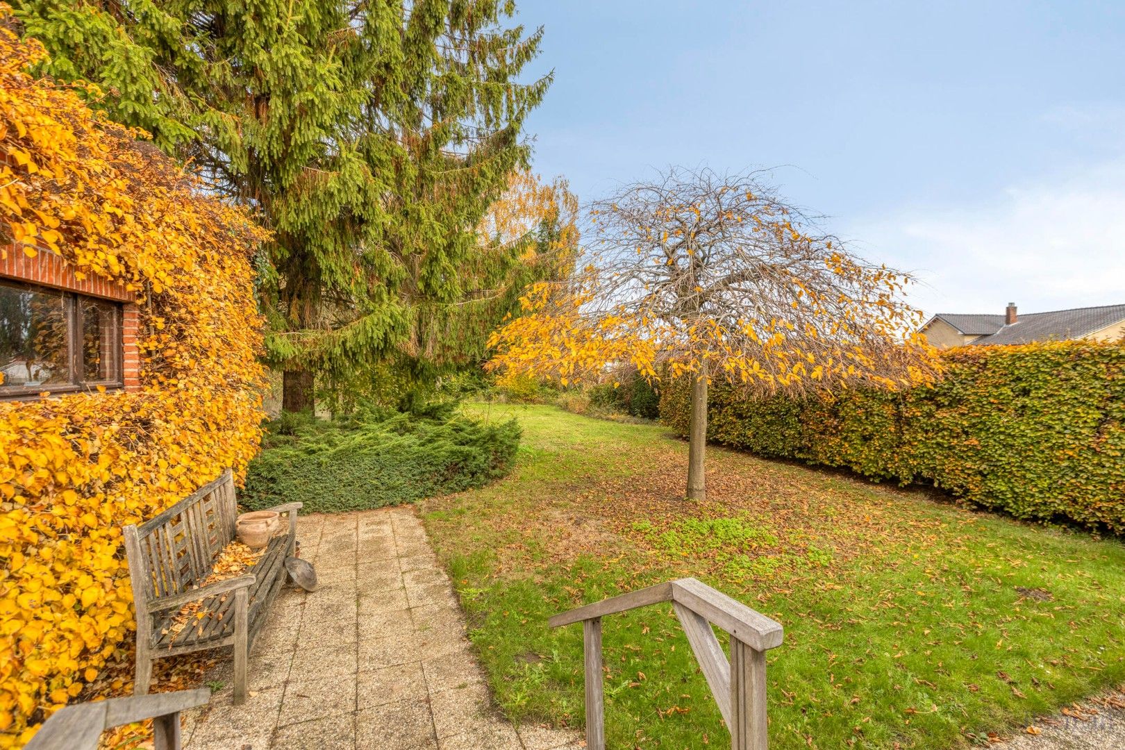 Gelijkvloerse woning te koop in Groot-Vorst, Laakdal foto 22