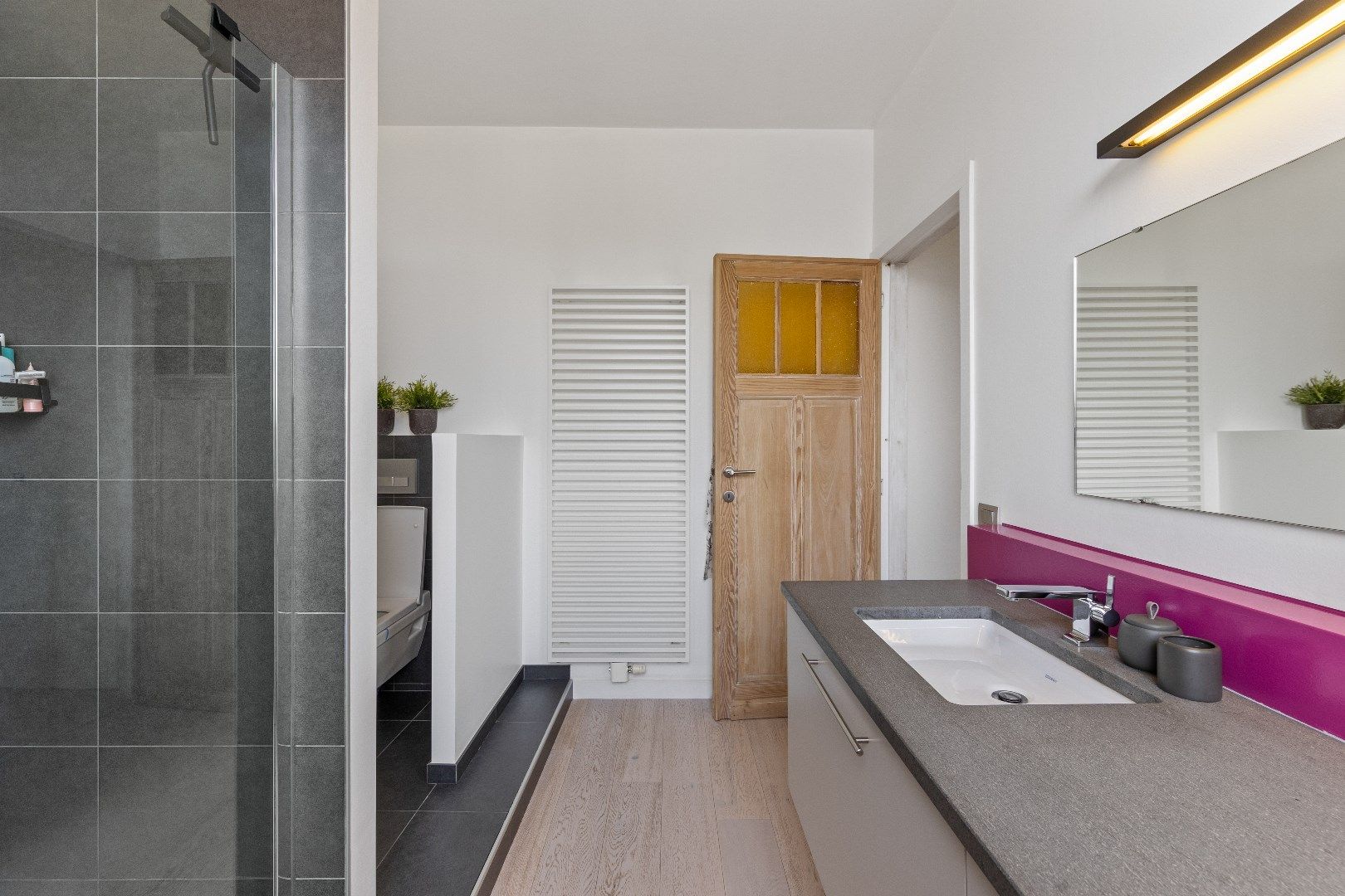 BURGERWONING MET 5 SLPKS,  TUIN EN HUURGARAGE foto 18