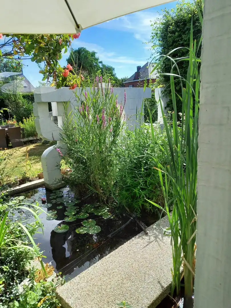 Organische architecten- en kunstenaarswoning foto 4