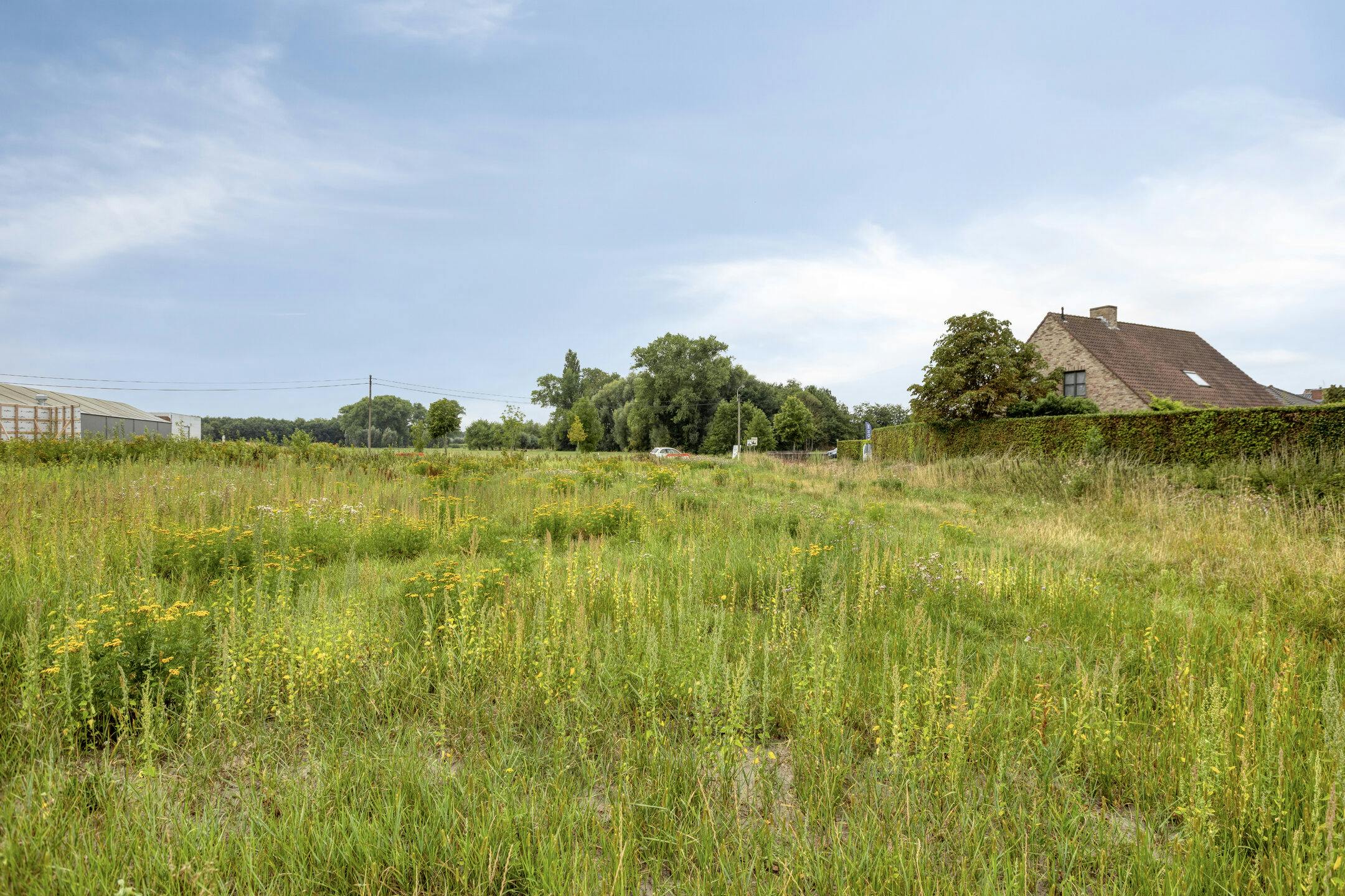 Uniek perceel bouwgrond te koop met zicht op natuurgebied  foto 6