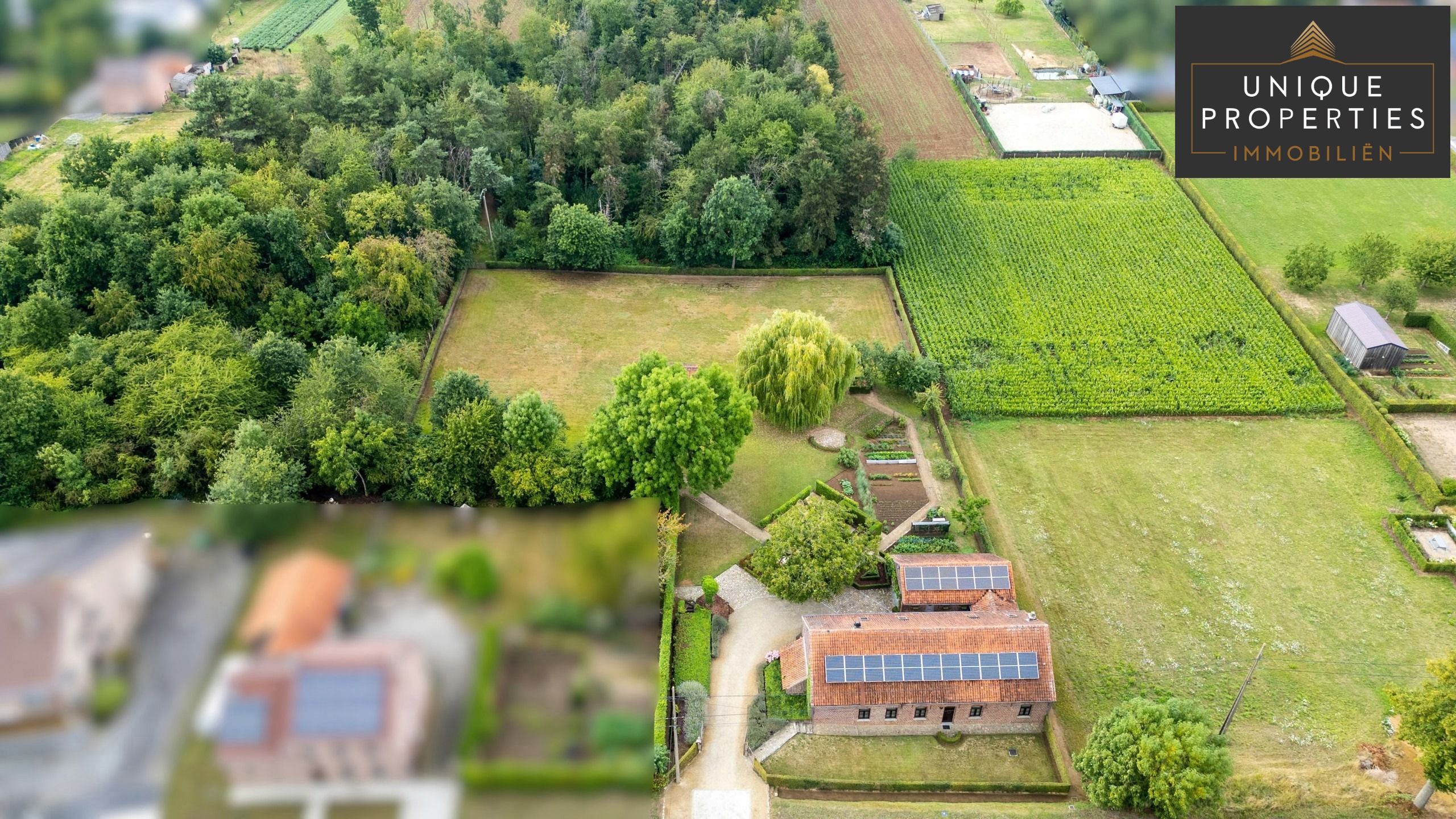 Huis te koop foto {{pictureIndex}}