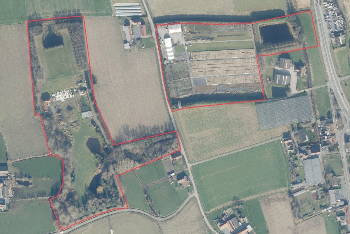 Rendabele plantenkwekerij van circa 9 ha te koop te Menen foto {{pictureIndex}}