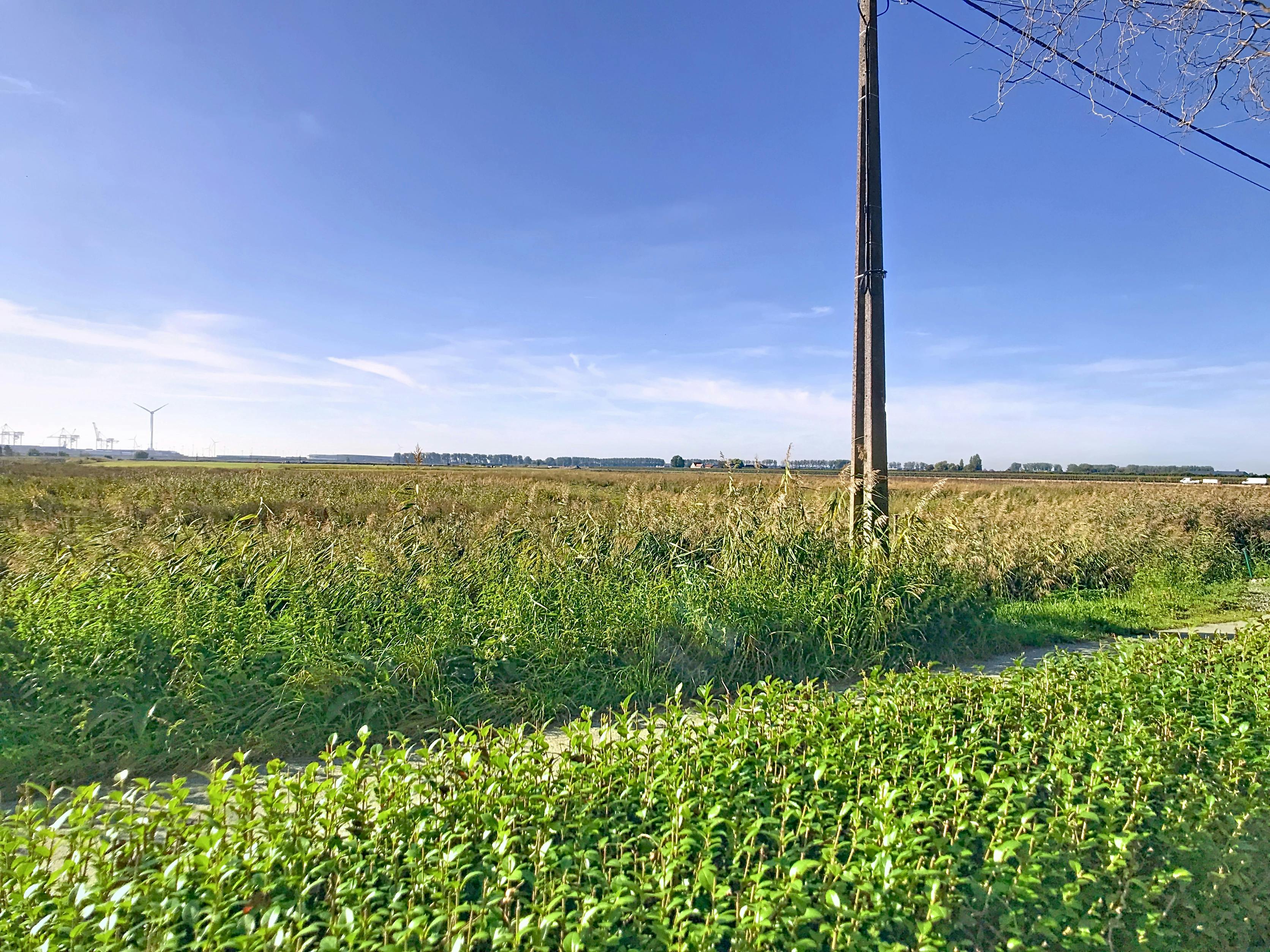 Rustig gelegen huis of vakantiewoning in groene omgeving foto 4