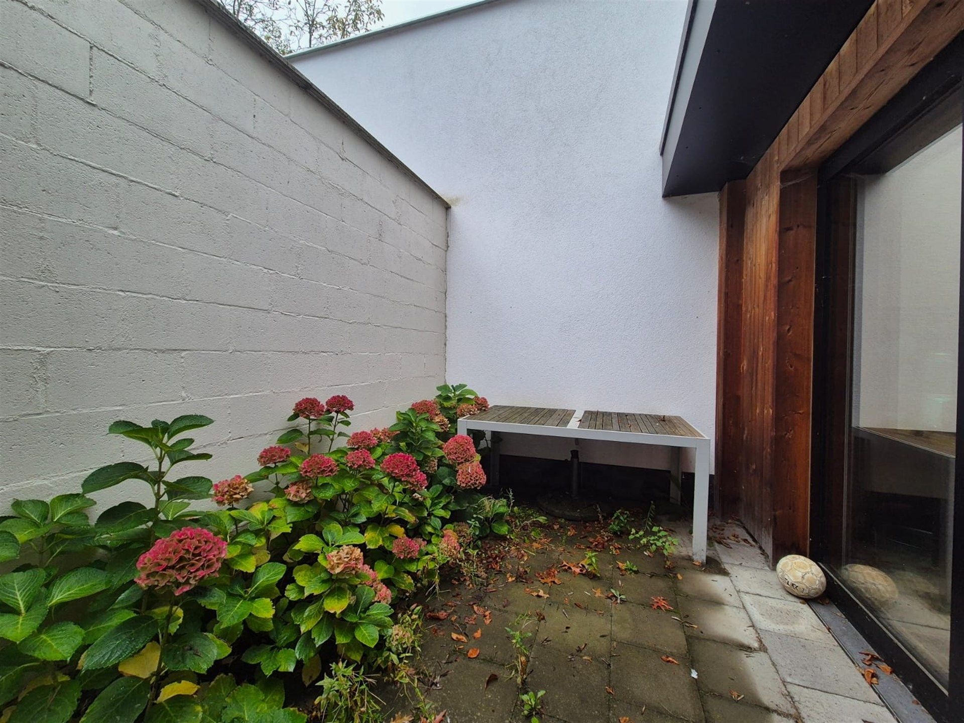 Gelijkvloerse kantoorruimte met kelder en terras. foto 9