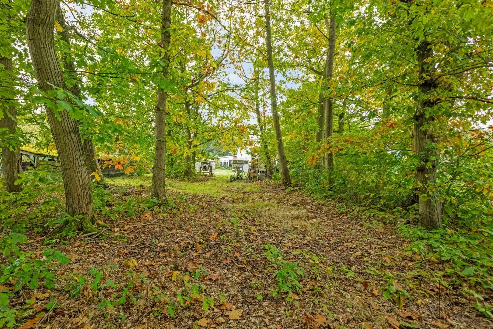 Unieke kans in Westmalle: te renoveren woning met 4 à 5 slpk' s, 236 m² bew. opp. op perceel van 3.990 m²! foto 27