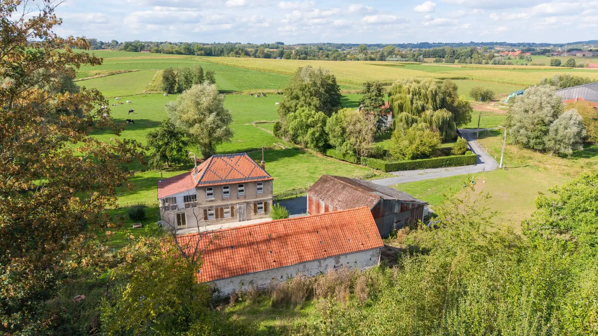 MAISON AVEC DEPENDANCES ET TERRAINS| WONING MET BIJGEBOUWEN EN GROND | 18.240 m² foto 5