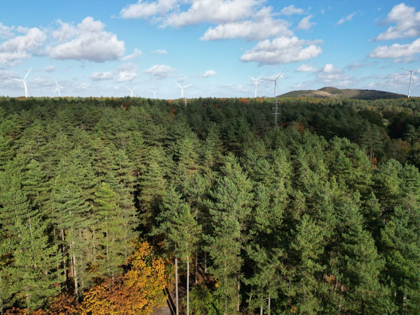 Bouwgrond (HOB) van 7a13ca vlakbij natuurgebied De Schemmersberg foto 7