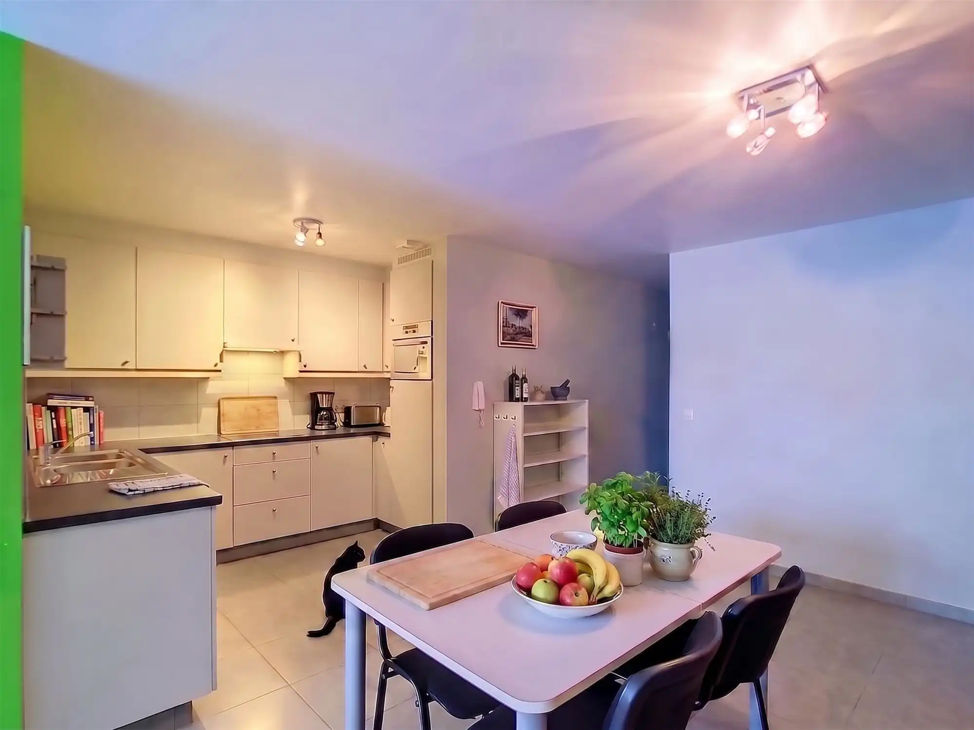 Gezellig gelijkvloers appartement met tuin, garage en 2 slaapkamers in Hulshout foto 3