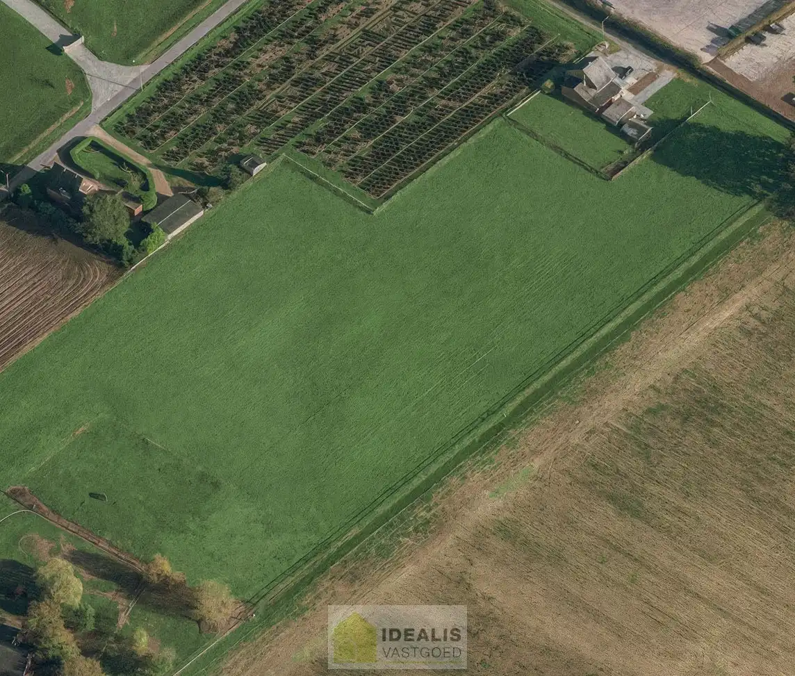 IDEALIS VASTGOED – KARAKTERVOLLE EIGENDOM OP TOPLOCATIE AAN HET KOLISBOS MET VERGUND NIEUWBOUWPROJECT foto 7