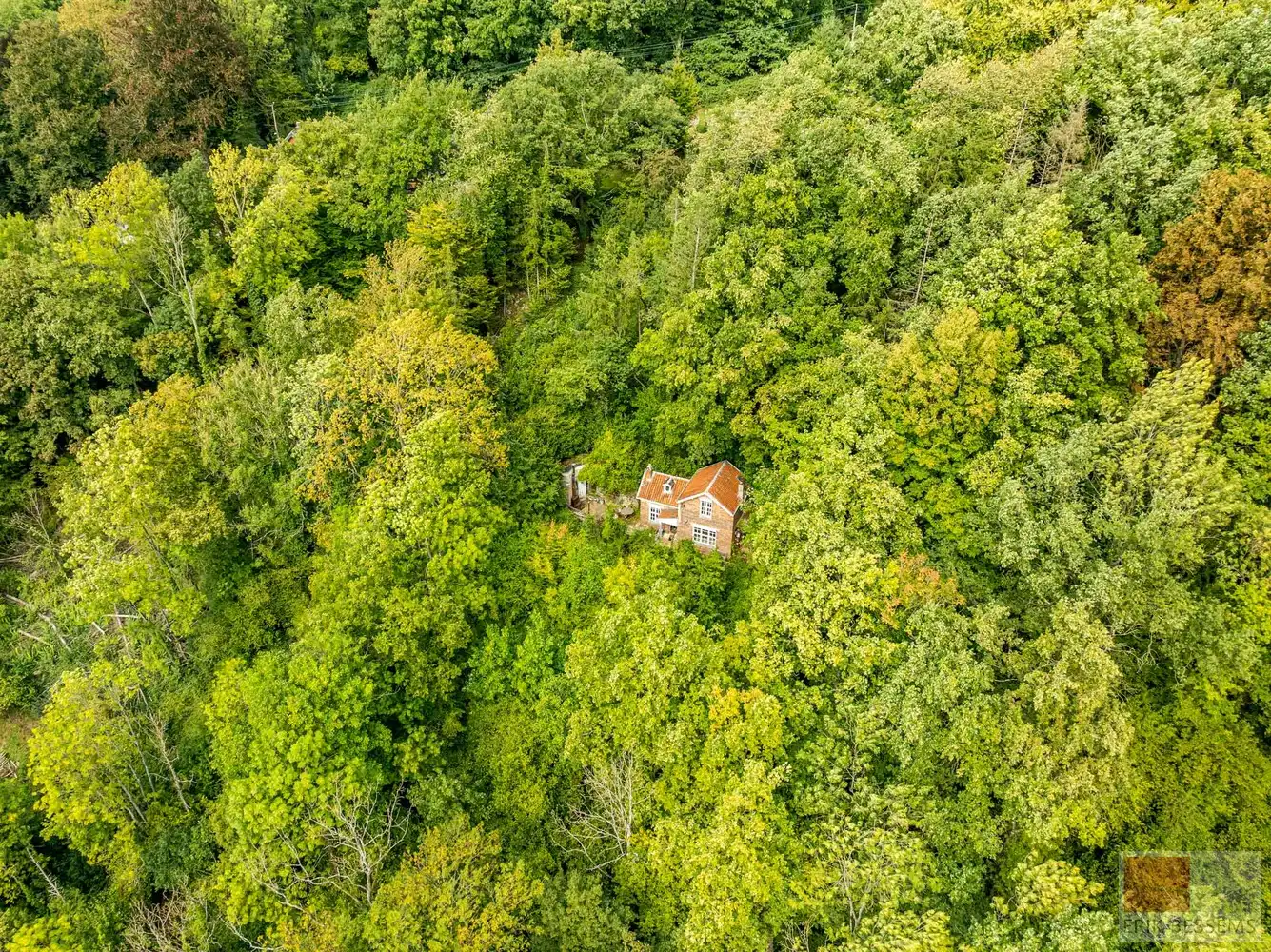Uitzonderlijke boswoning foto 27
