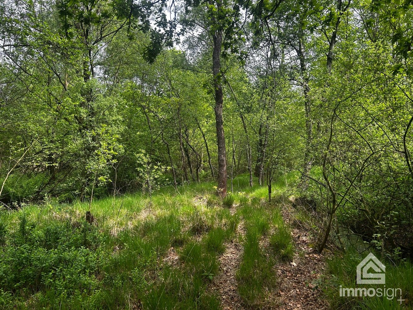 Uniek stukje natuurgebied van 1.470 m² gelegen te Hamont-Achel! foto 15