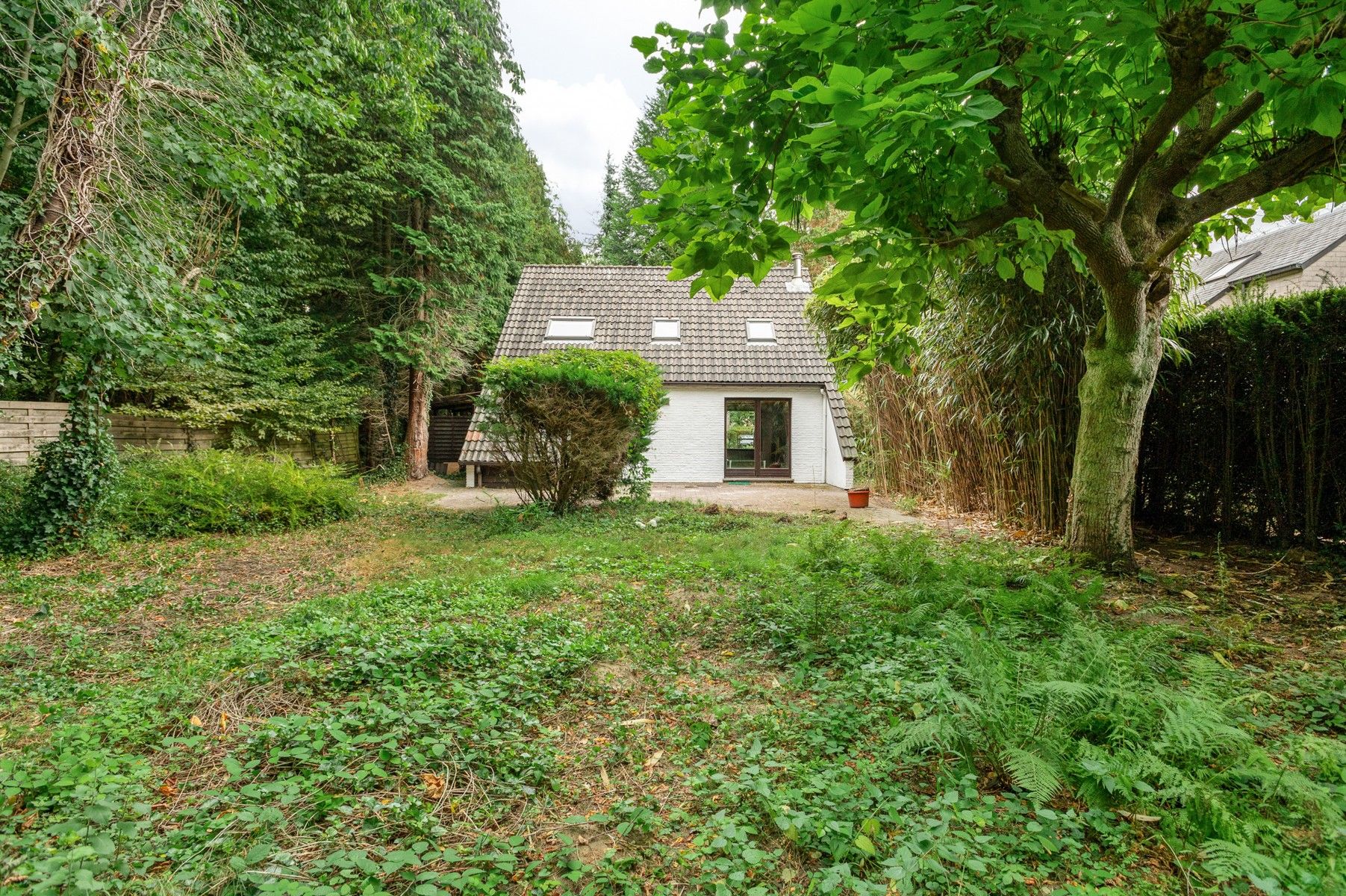 IN OPTIE !! Te renoveren woning met uitbreidingsmogelijkheden in oase van rust en groen foto 2