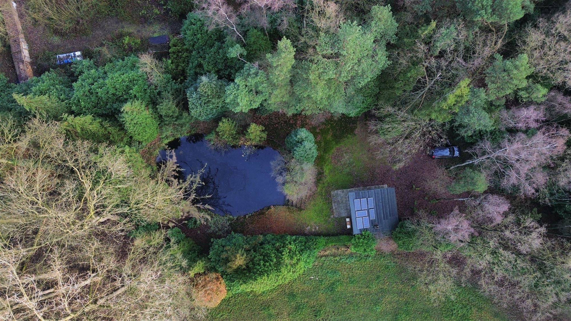 Charmante chalet met privatieve vijver op idyllisch perceel foto 2