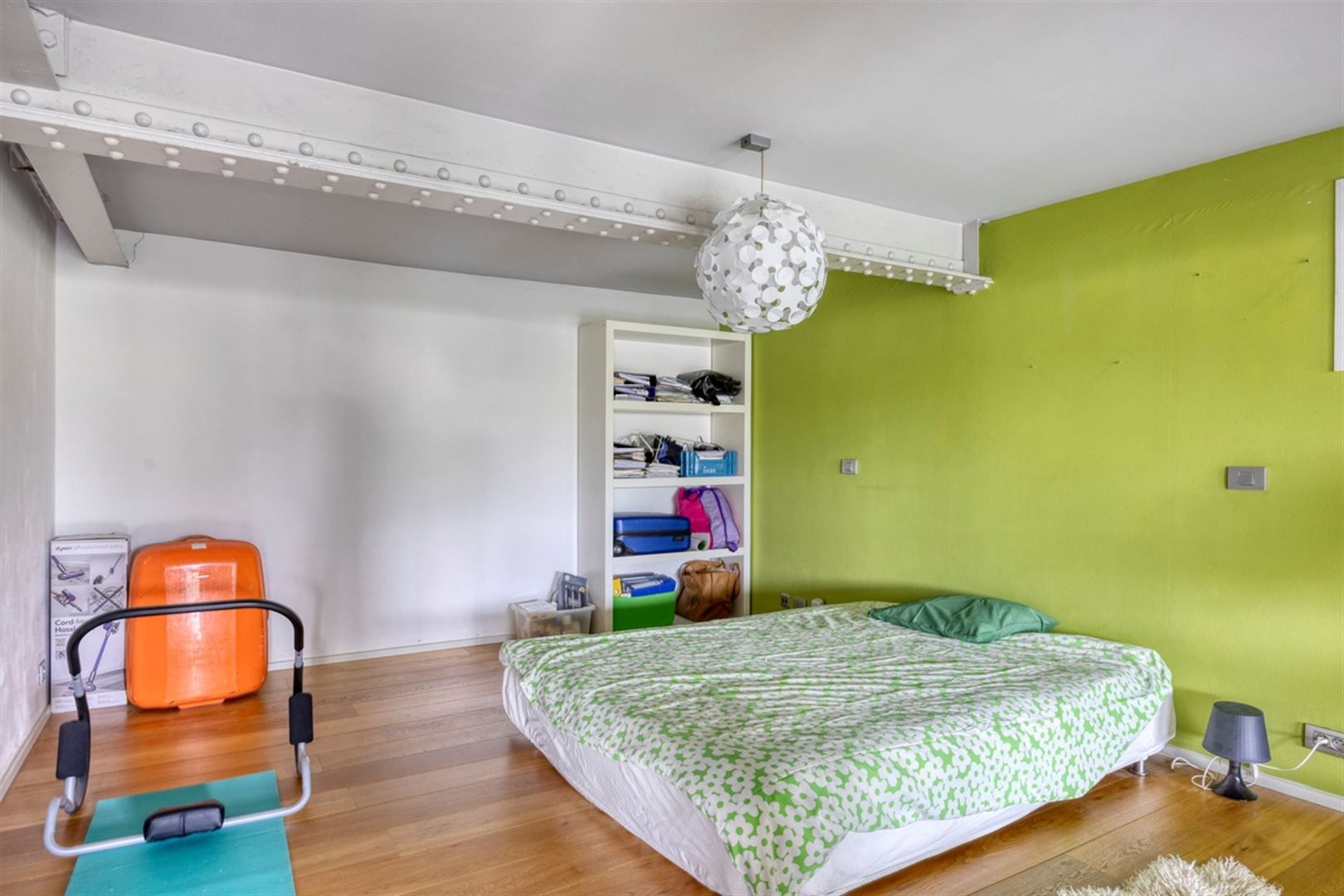 Instapklare loft in deelgemeente Leupegem foto 25