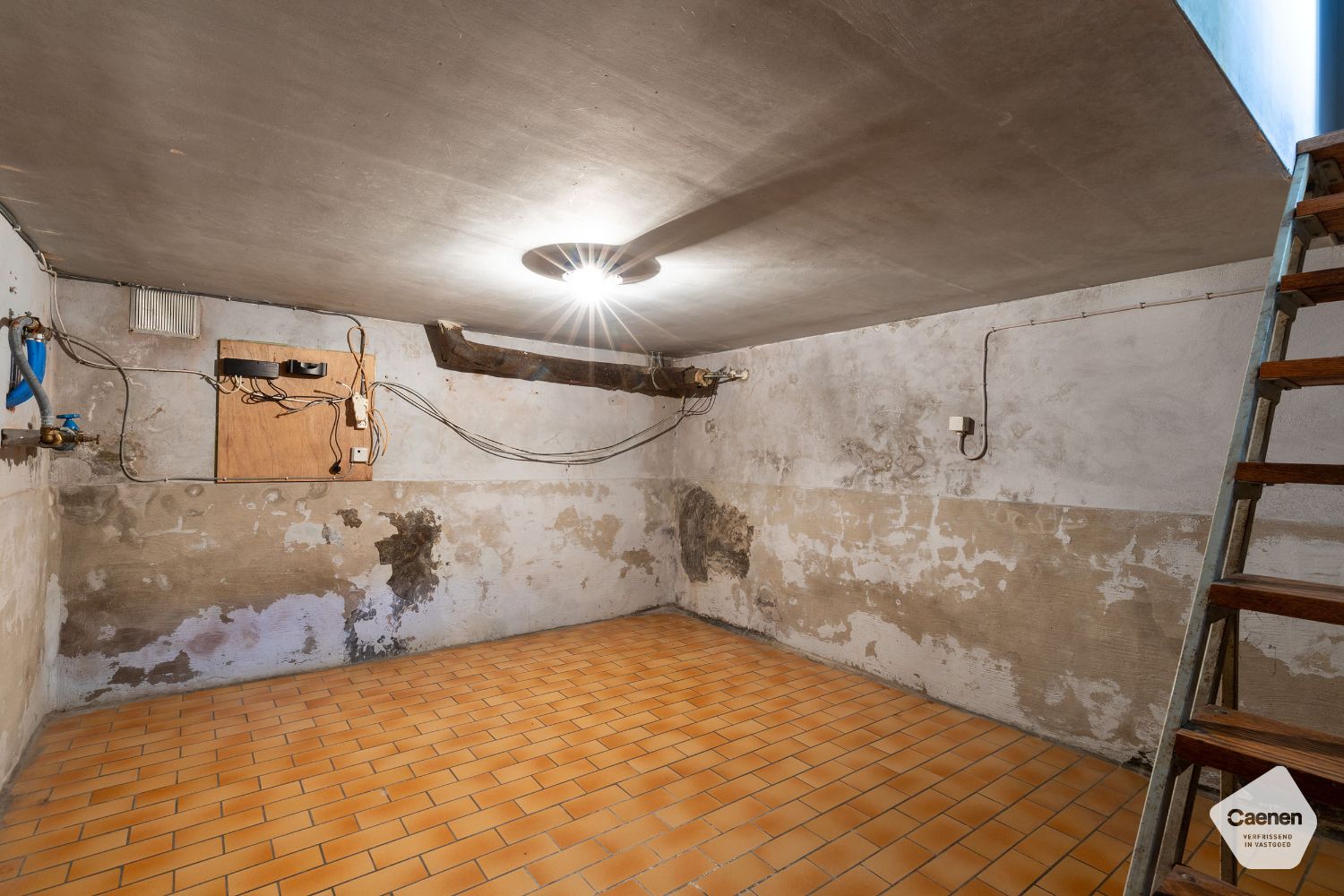 VRIJSTAANDE TE RENOVEREN STEVIGE WONING op een mooi perceel  van 1210 m²  met 3 slaapkamers , GARAGE EN BIJGEBOUW foto 13