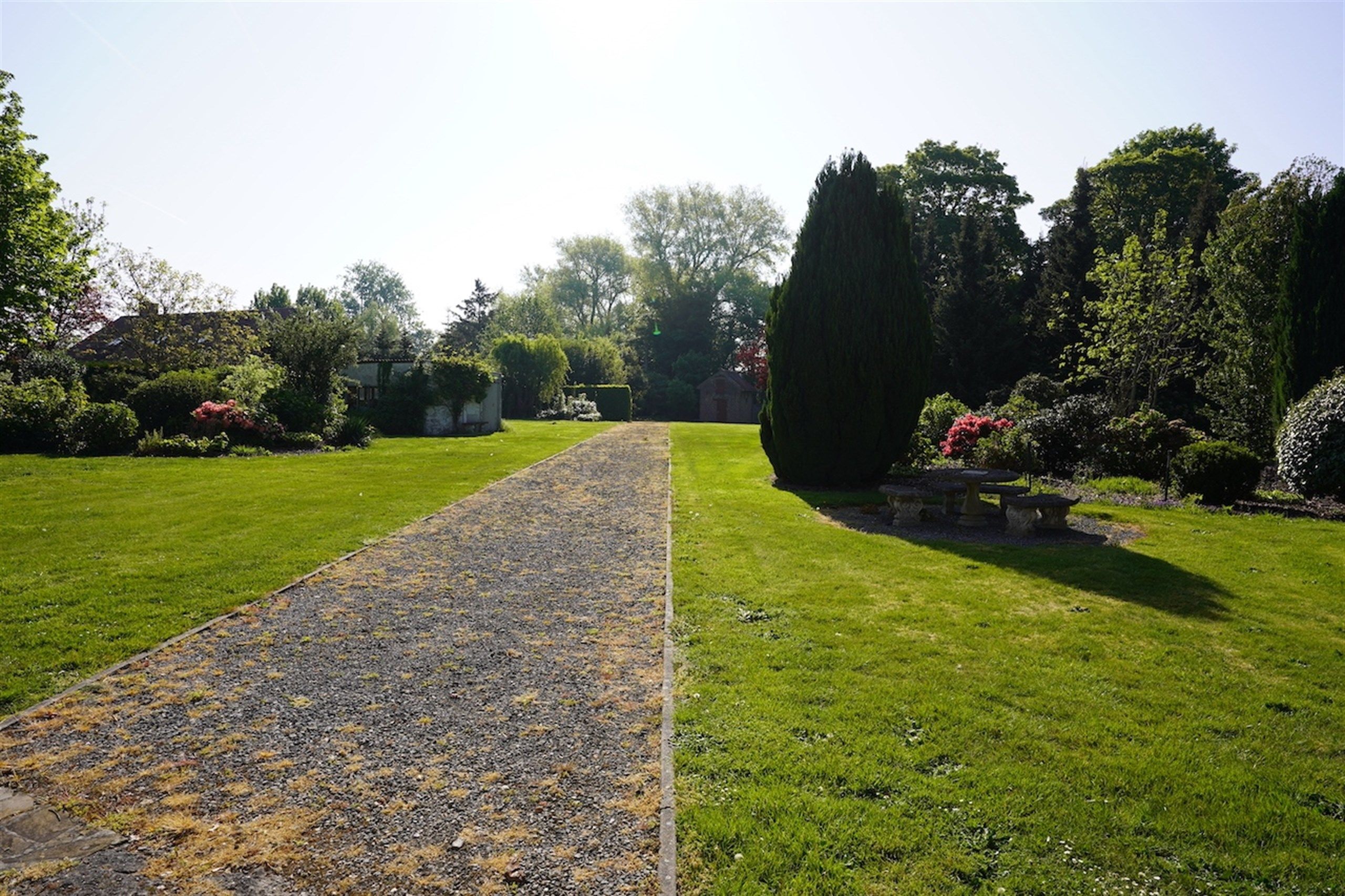 Opportuniteit! Eigendom op 1 Ha met buitengewone privileges foto 12