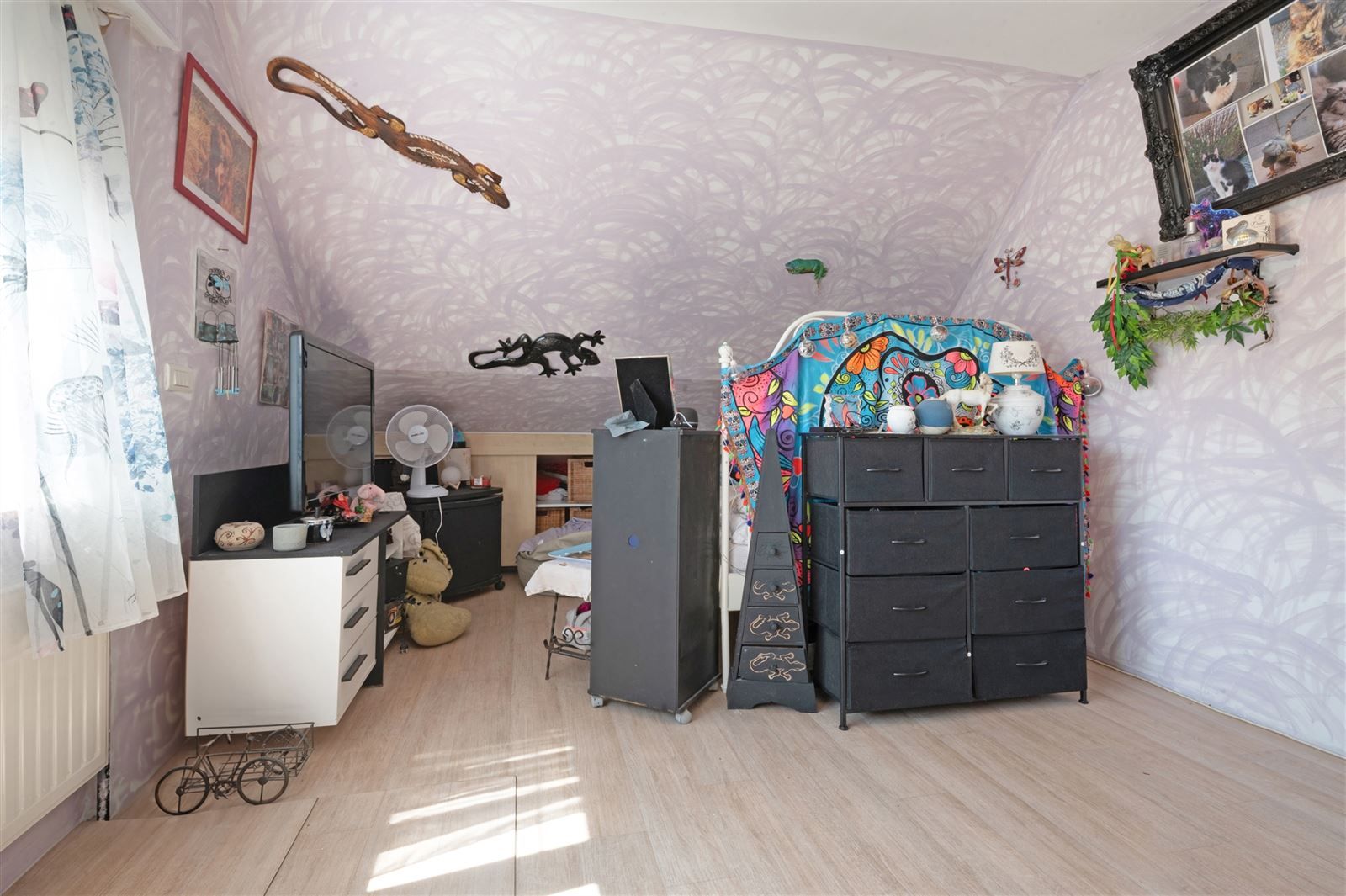 OPTIE foto 20